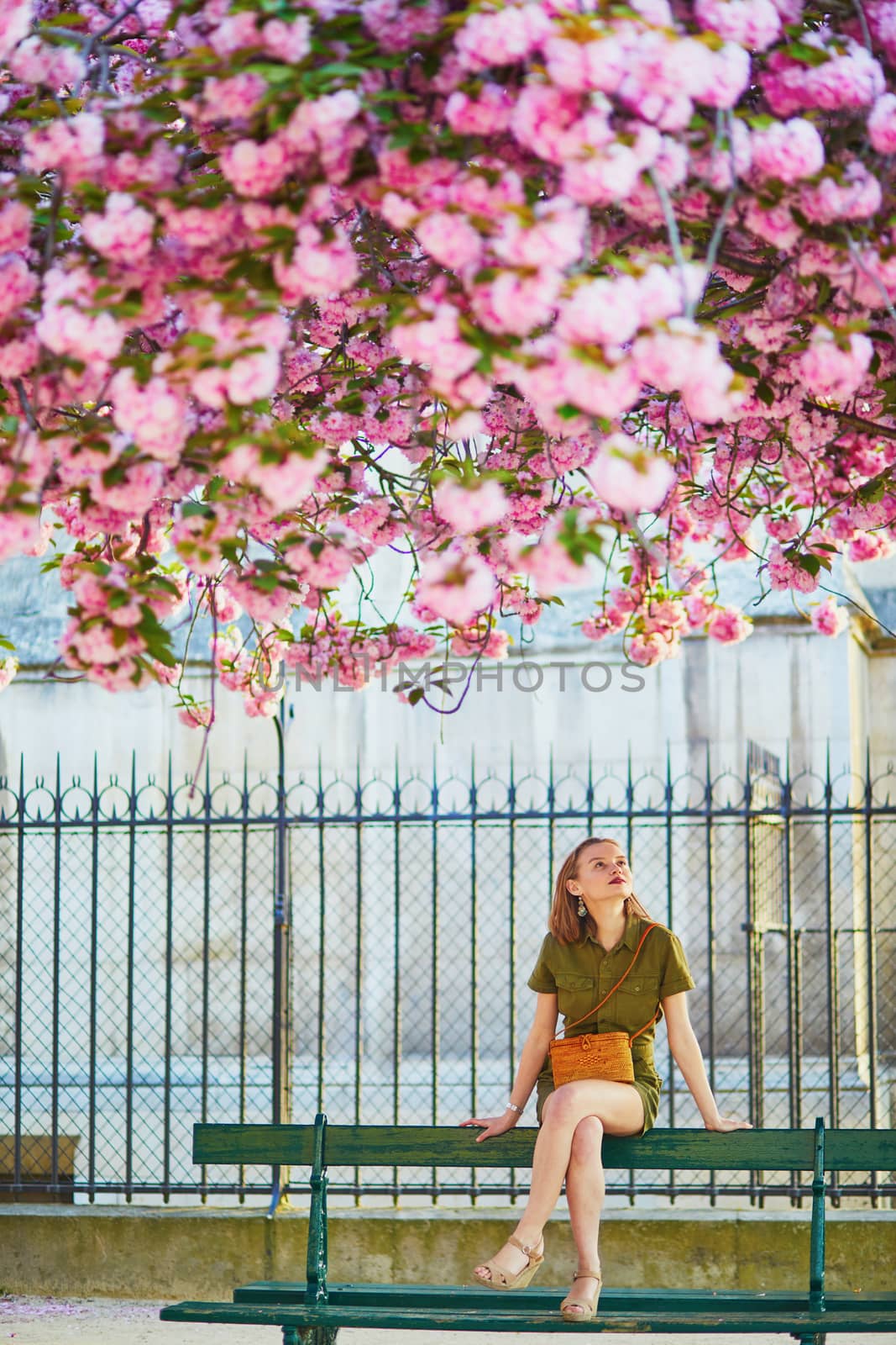 Beautiful French woman walking in Paris on a spring day at cherry blossom season