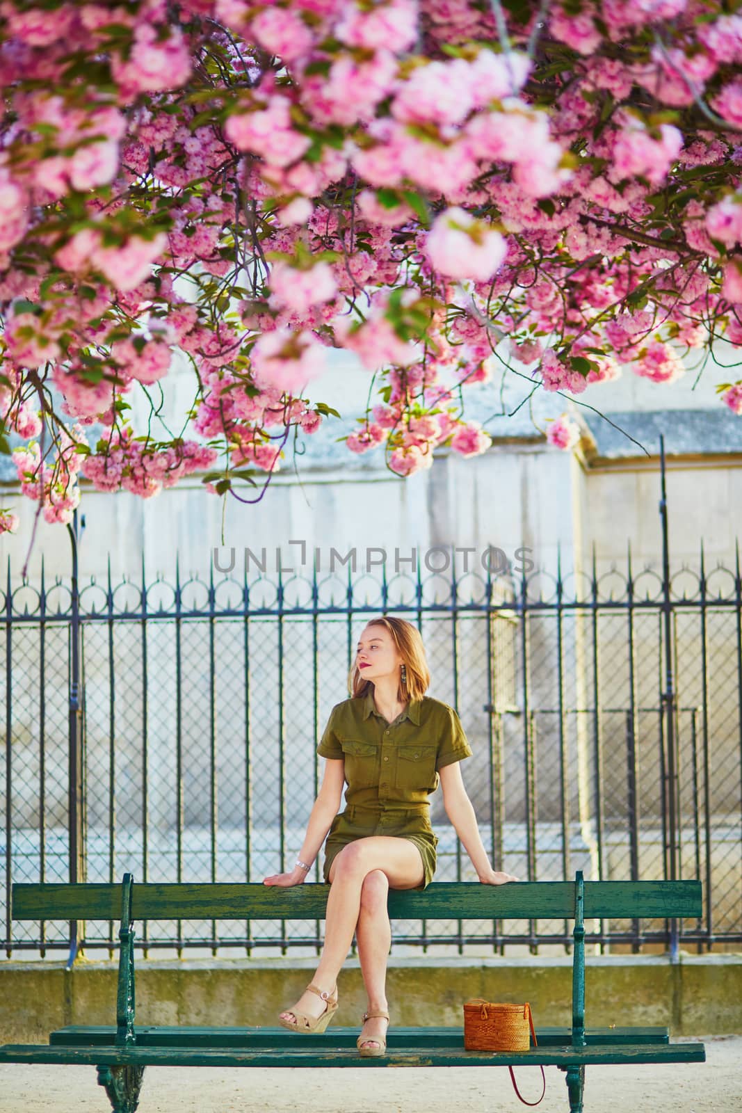 Beautiful French woman walking in Paris on a spring day at cherry blossom season