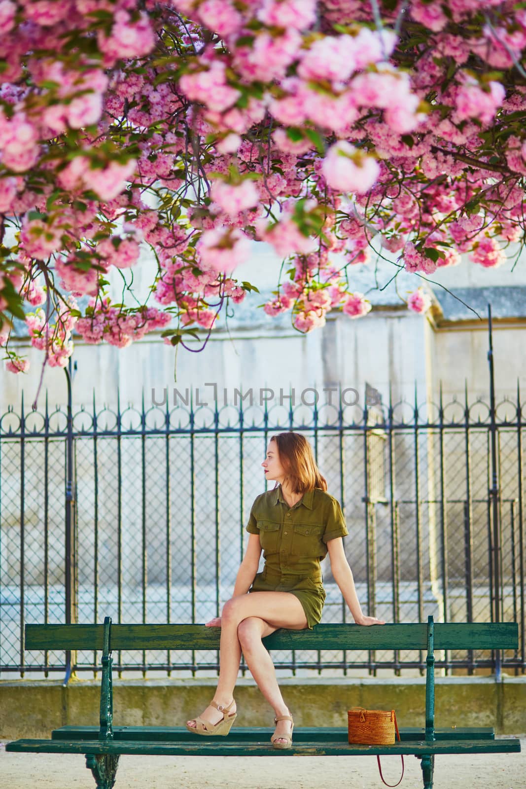 Beautiful French woman walking in Paris on a spring day at cherry blossom season