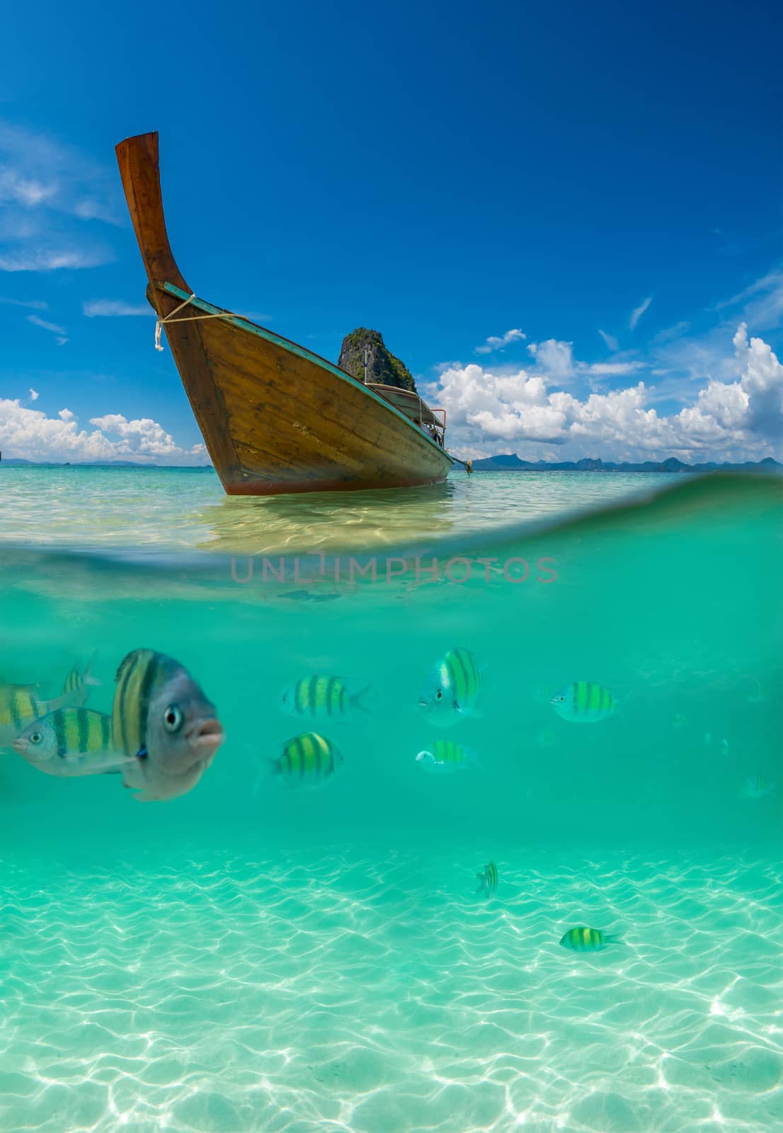 Split picture with fish and traditional longtail boat in Maya bay, Ko Phi Phi Le, Tailand