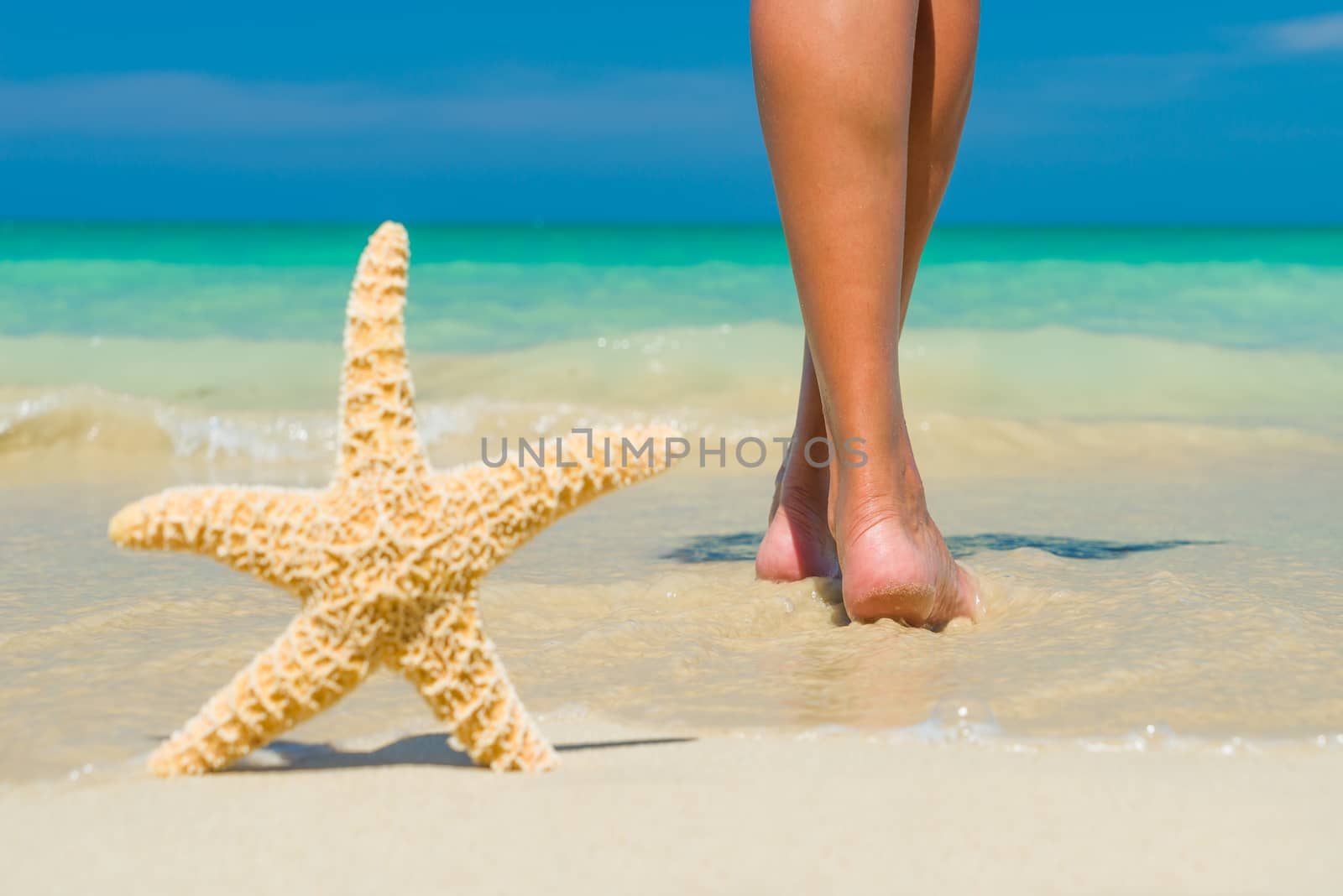 Human feet on the wet sand with a starfish.