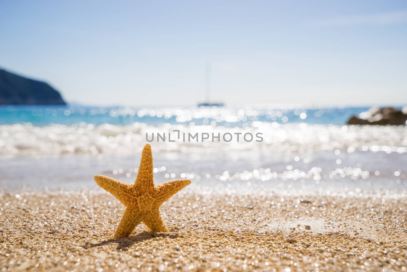 Starfish on Porto Katsiki beach on Ionian Sea Lefkada, Greece