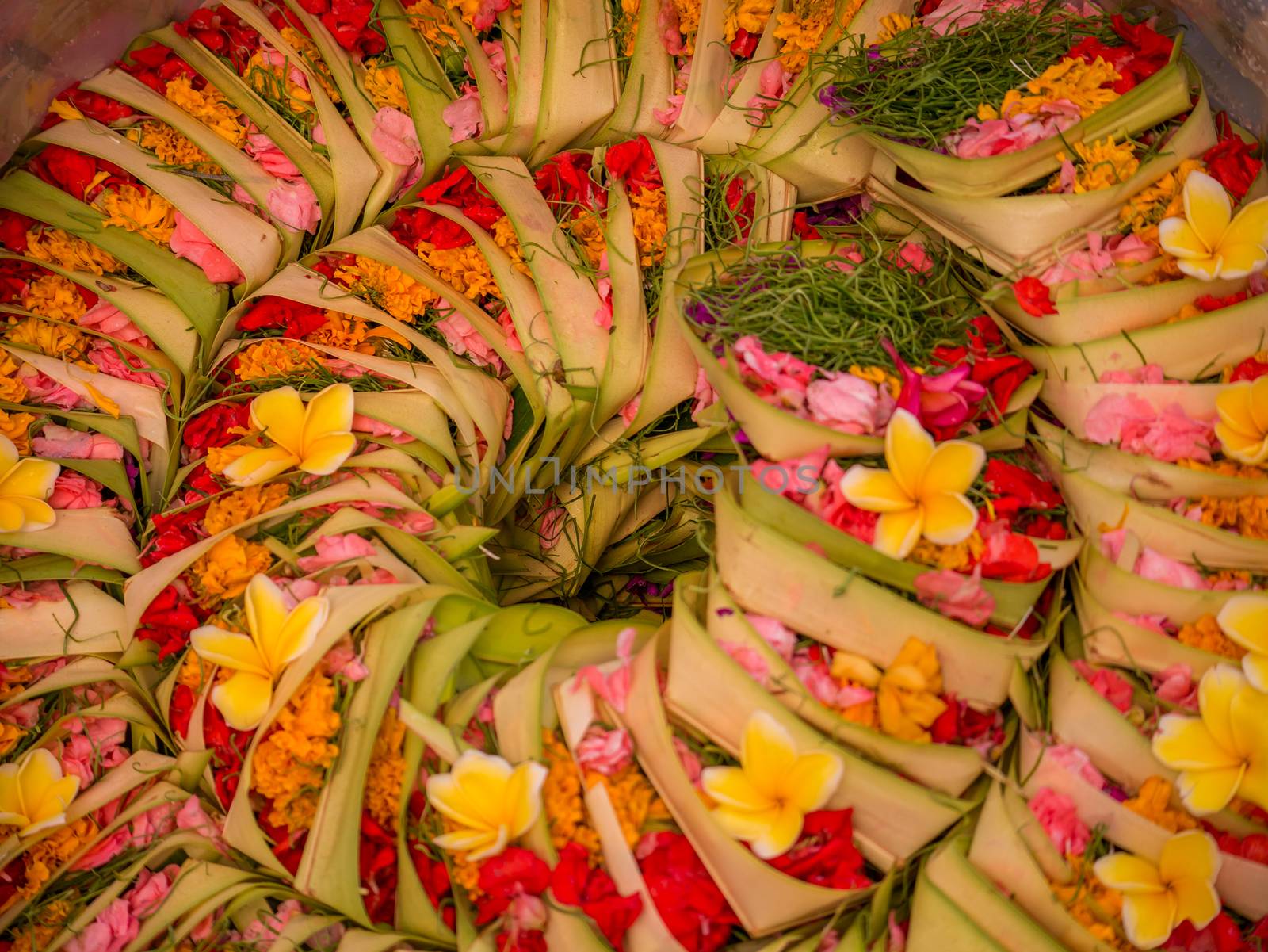 Traditional balinese offerings to gods in Bali with flowers and aromatic sticks