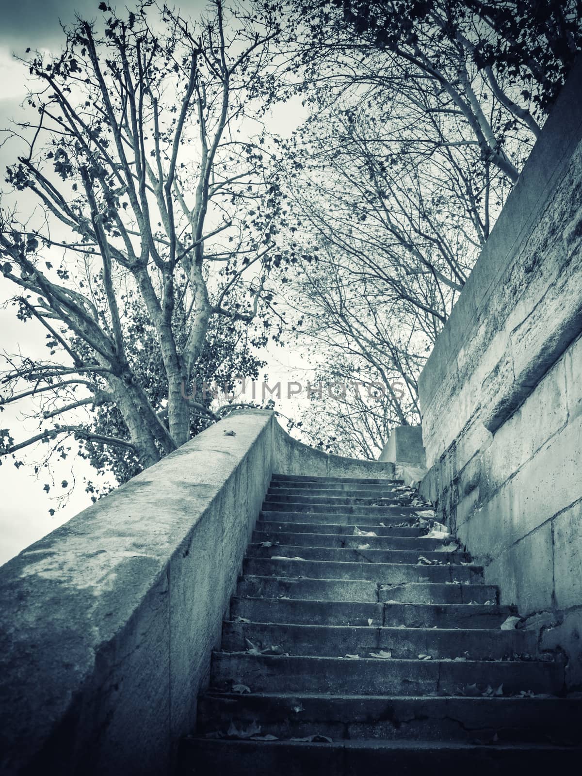 Stairs by the Seine river in Paris France