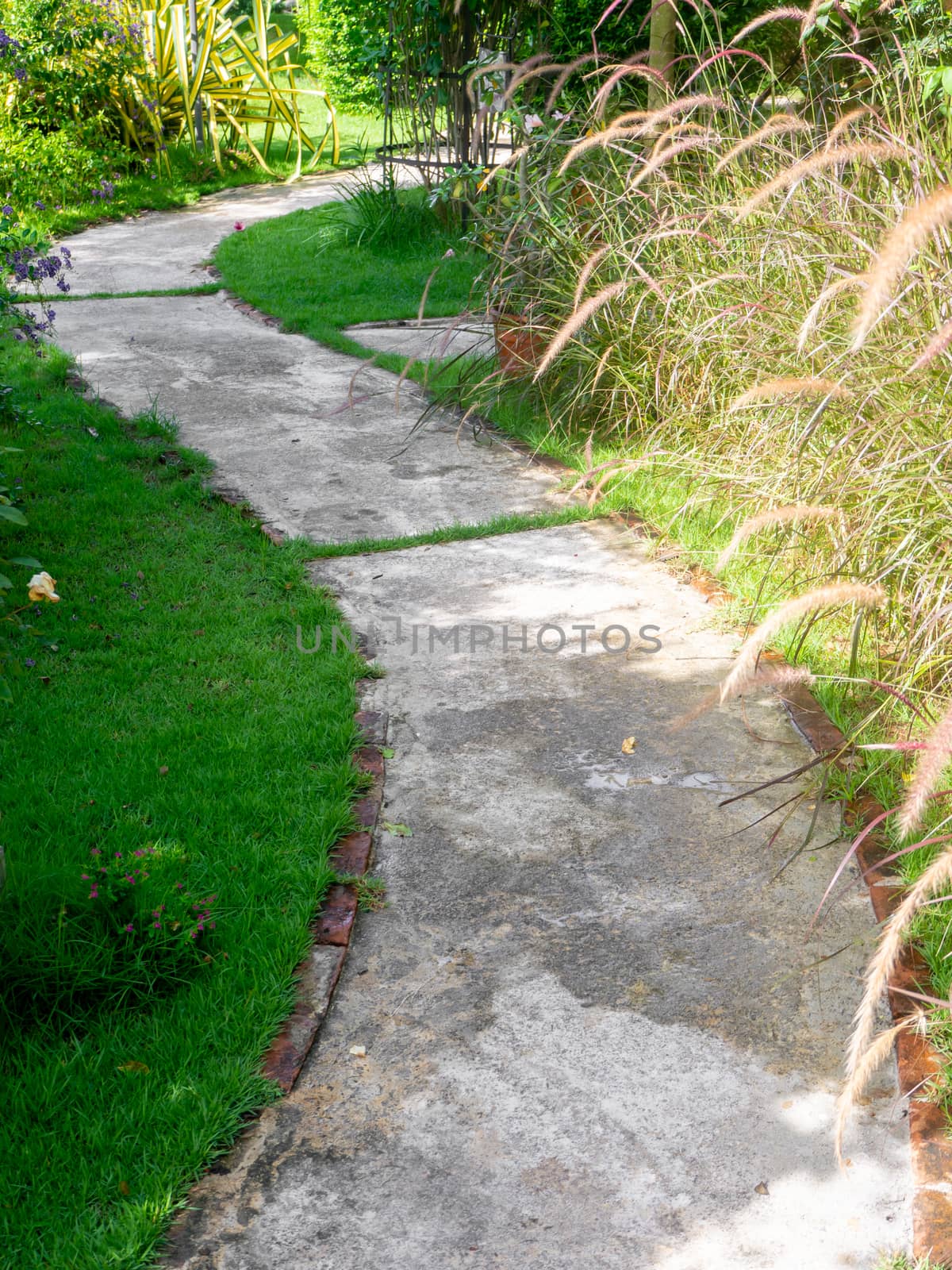 Beautiful pathway in a park in summer, Landscape with scenic winding footpath in sunlight. Stone overgrown path in sunny garden