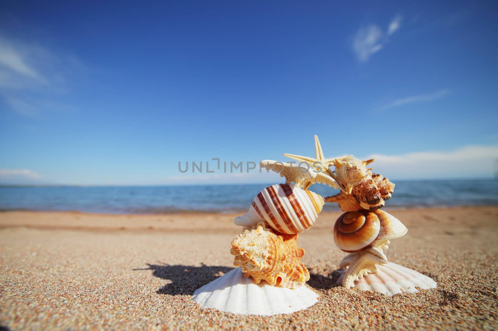 Sea shells and stars on the shore. Rest on the seashore, ocean. Island Travel by selinsmo