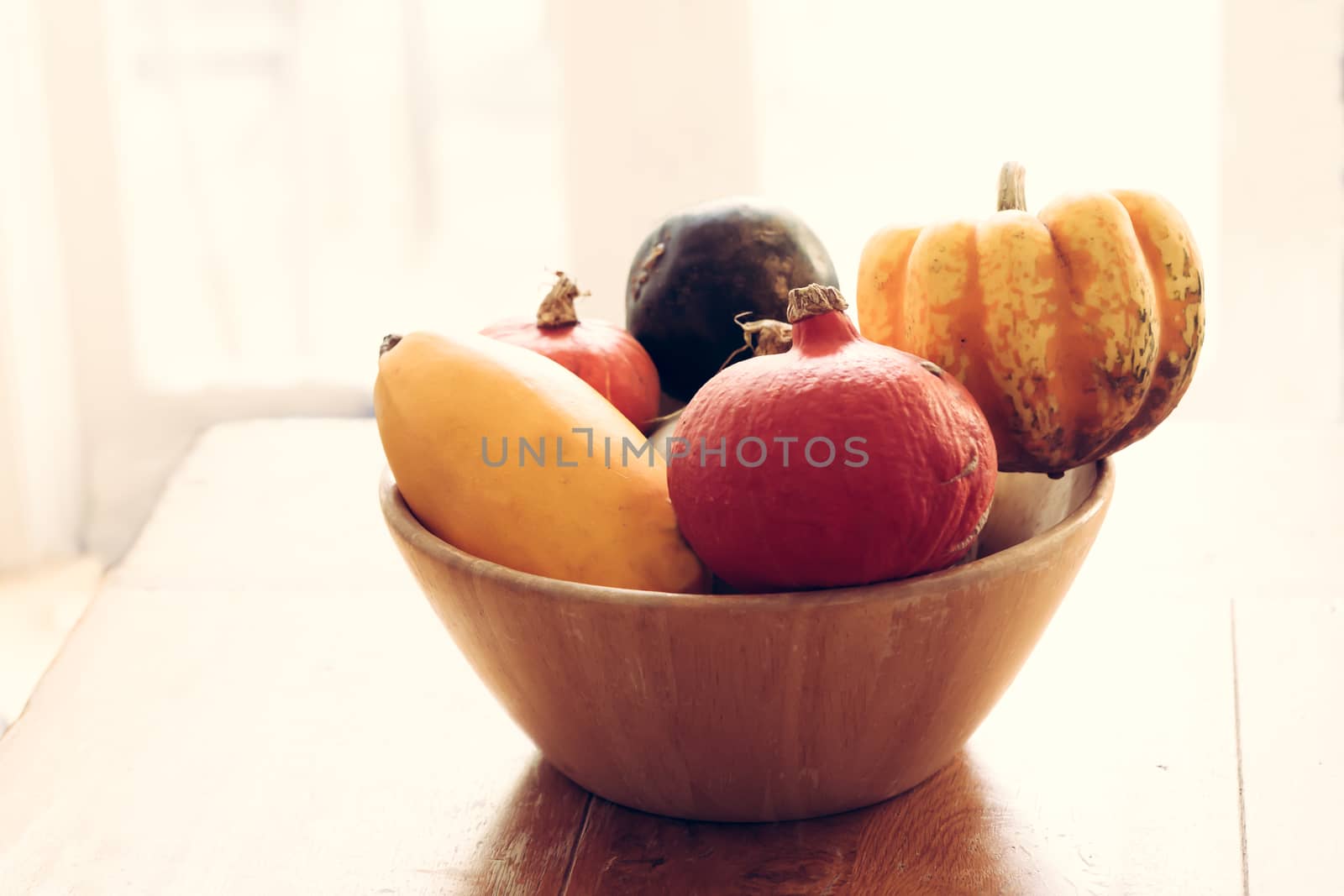 A variety of squashes in a bowl