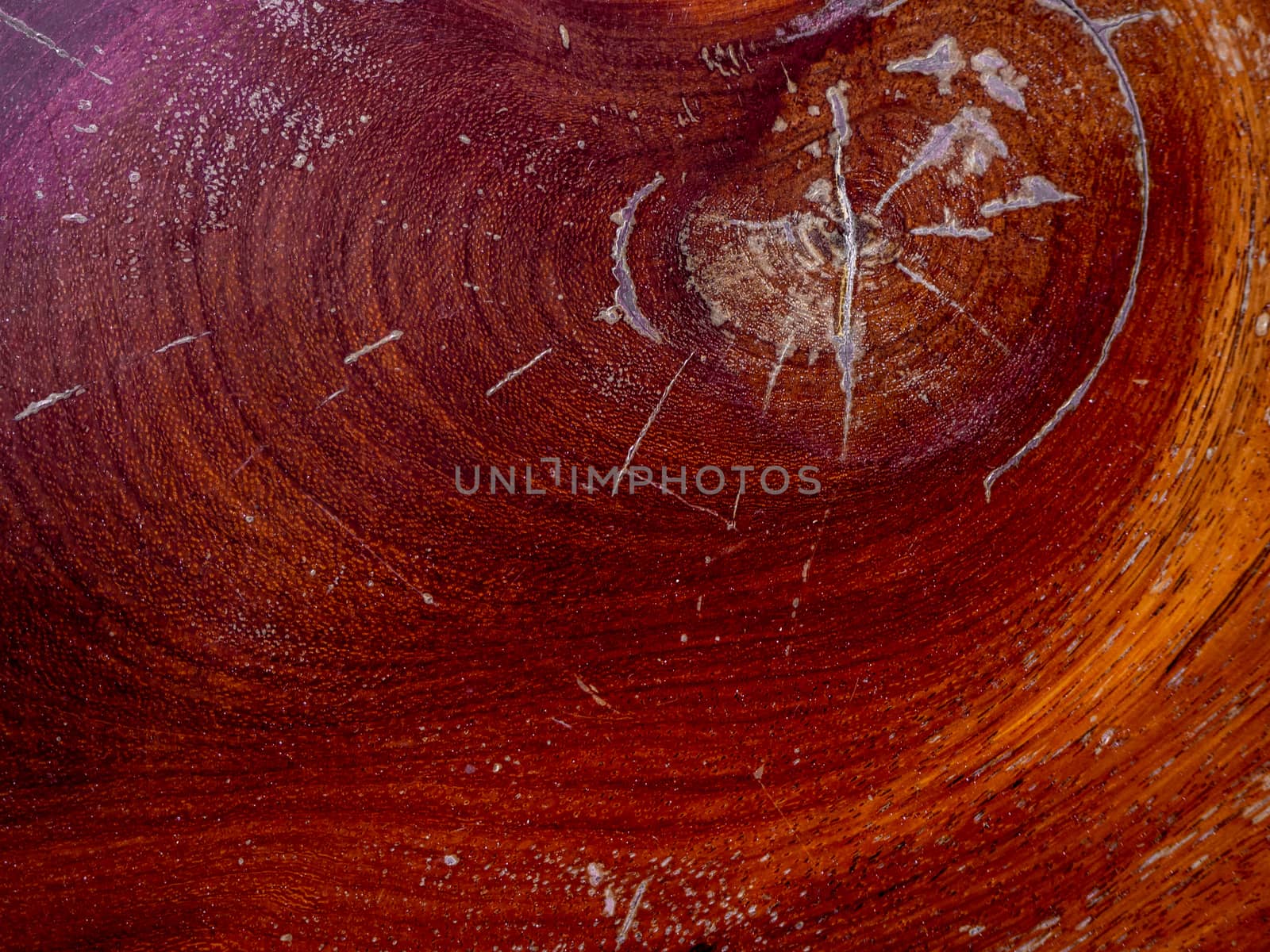 Brown wood texture. Abstract background, empty template by shutterbird