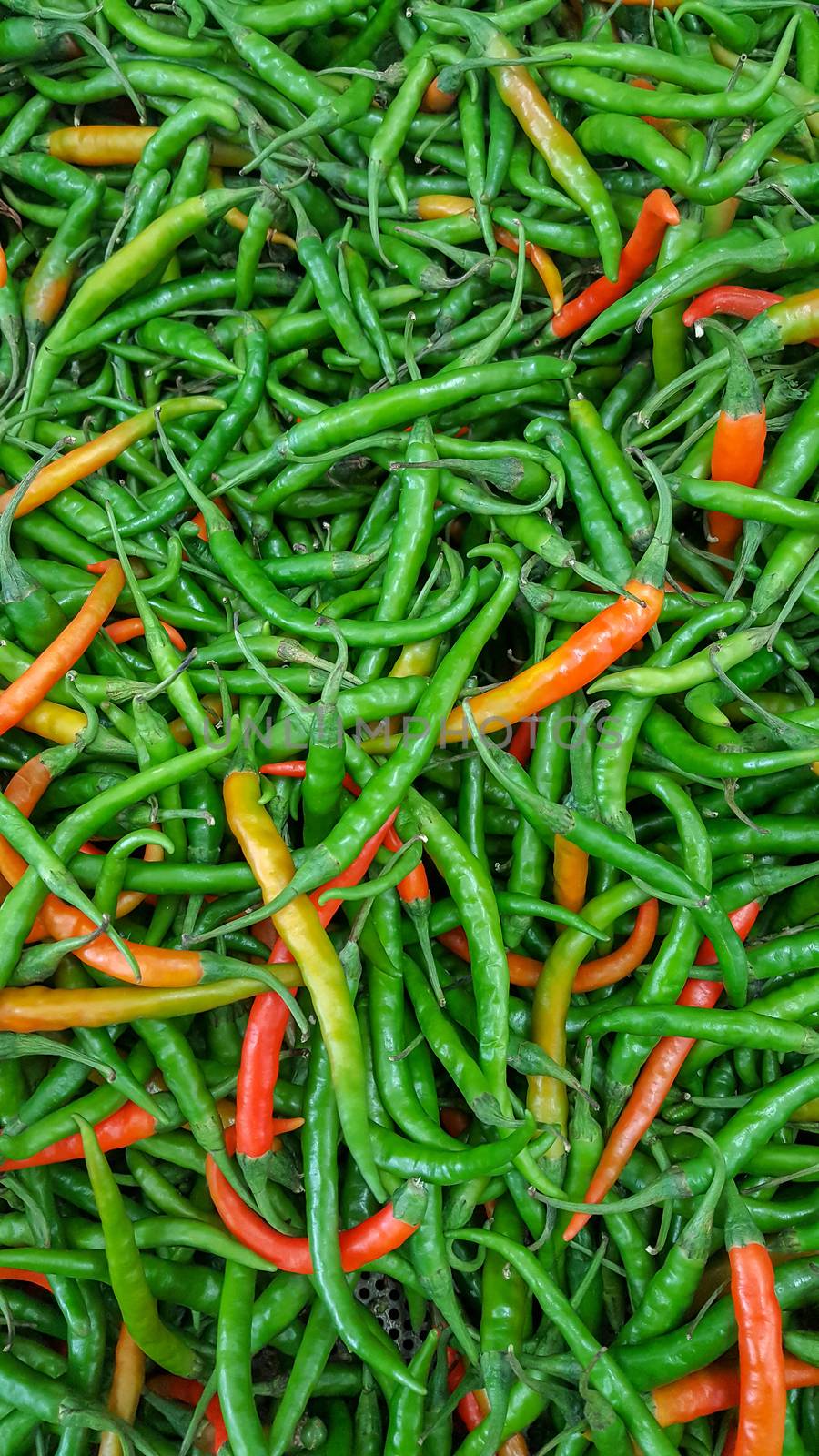 Green and red chillies by magicbones