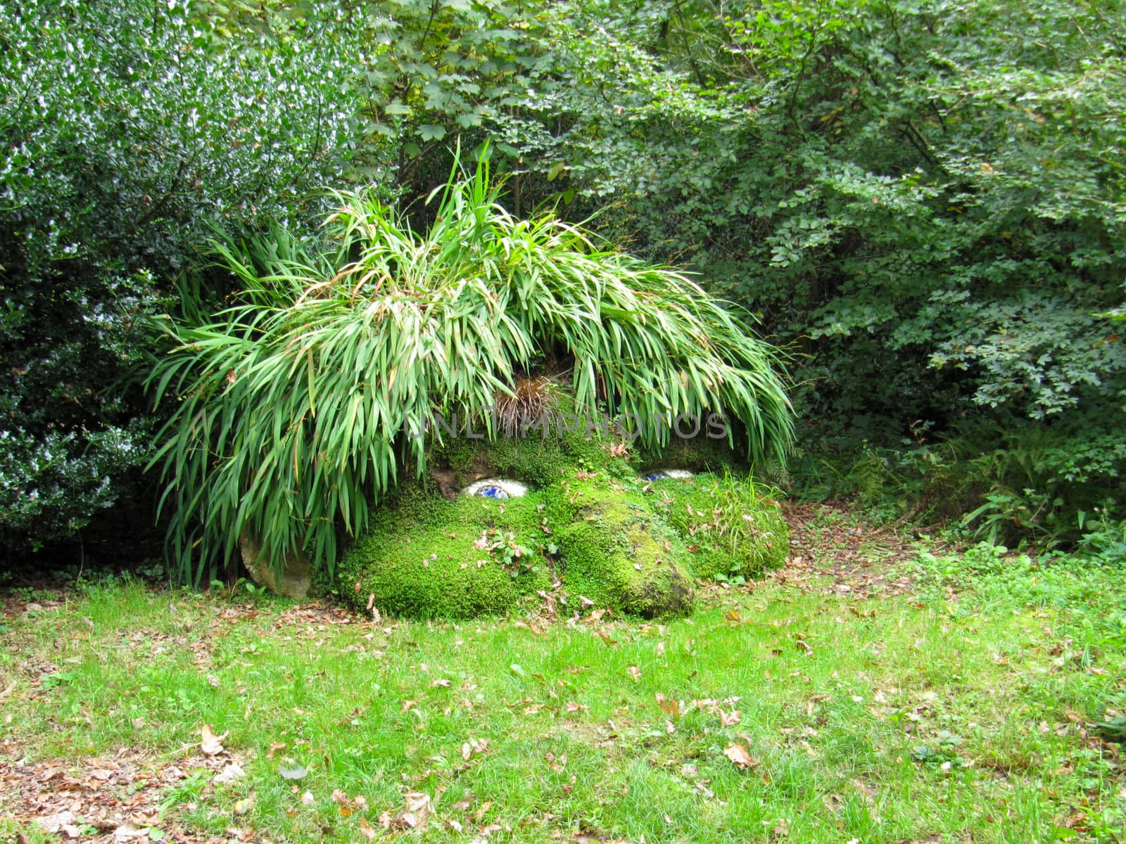 Giant's Head, Lost Gardens of Heligan