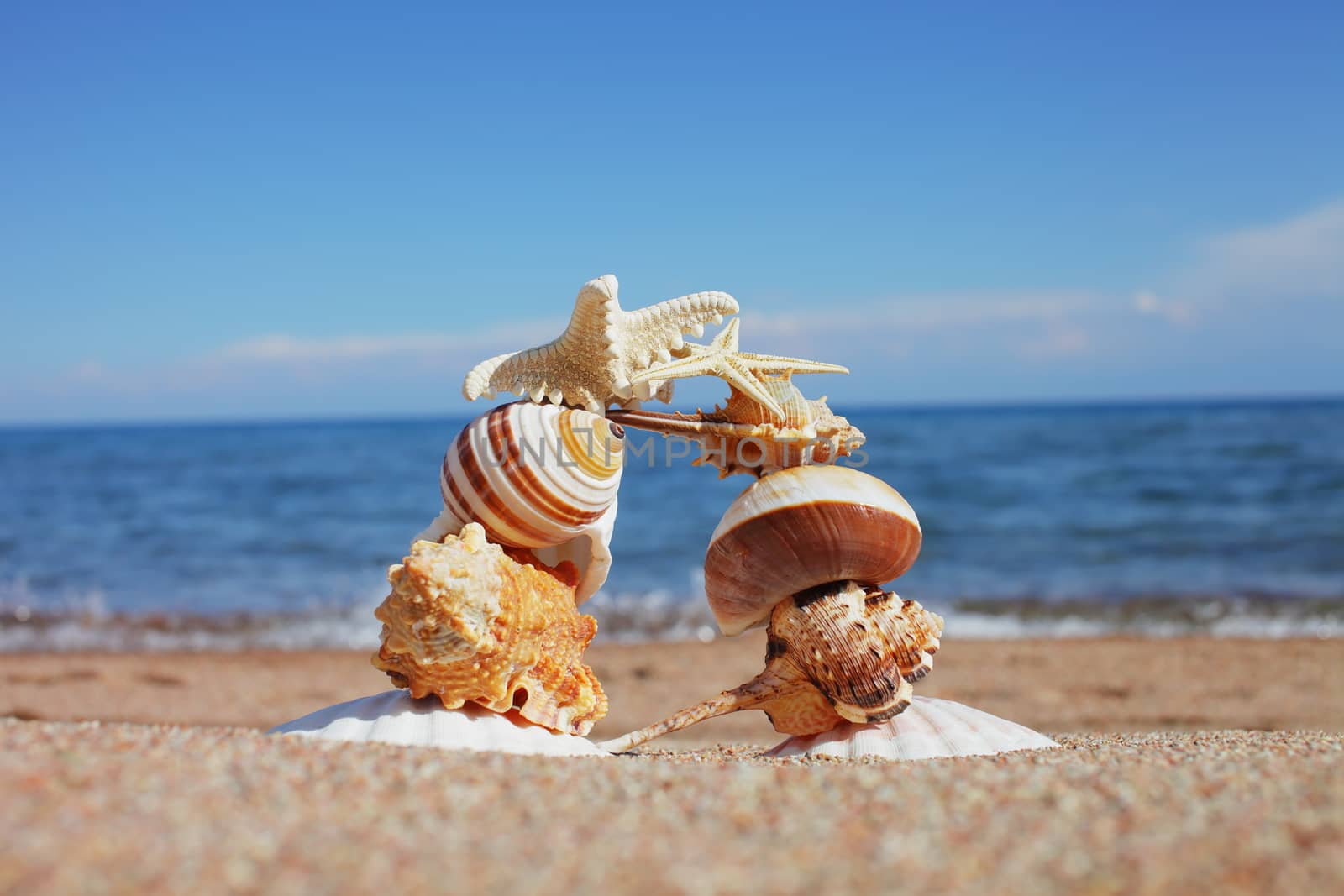 Sea shells and stars on the shore. Rest on the seashore, ocean. Travel to the islands. Air agency. Sunny weather by the sea. Kyrgyzstan, Issyk-Kul