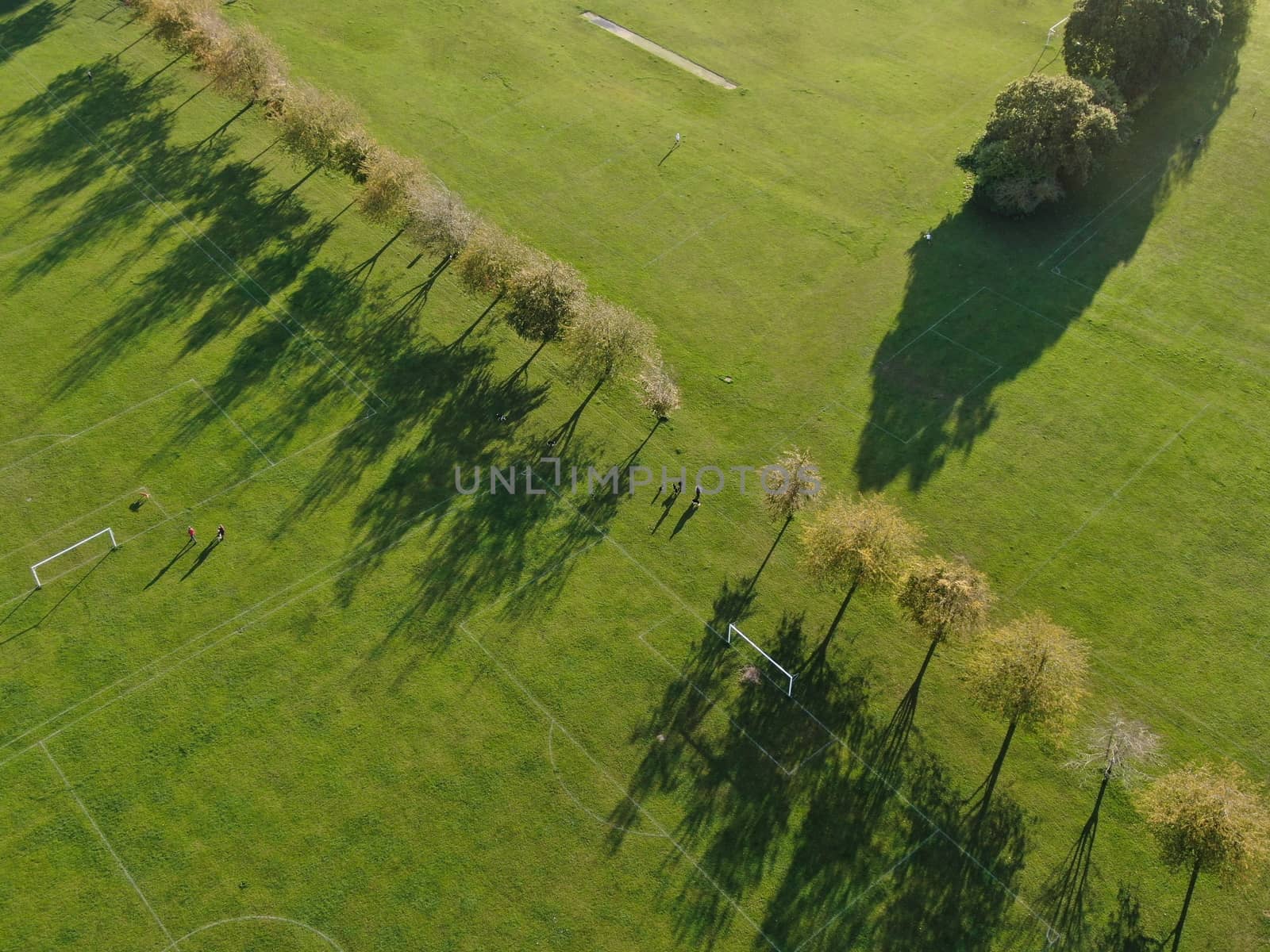 drone view of a park in evening light with a line of trees casting long shadows
