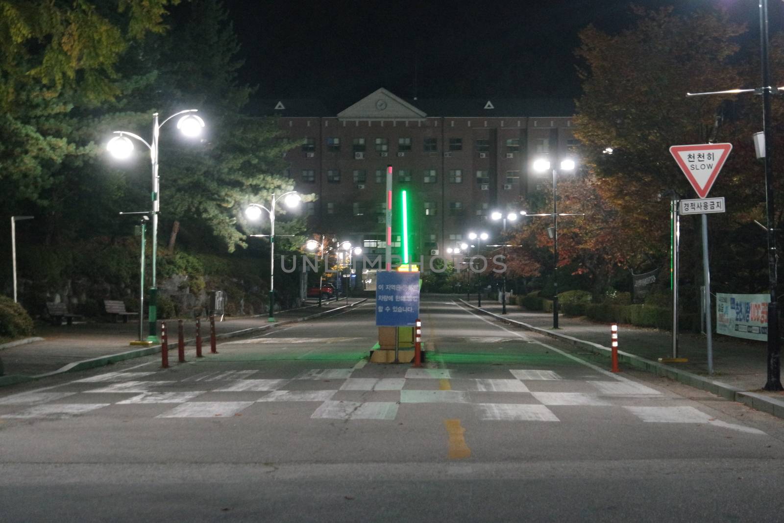 Night view of a paved pedestrian way or walk way with trees on sides by Photochowk