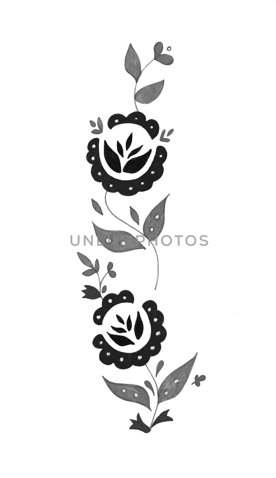 Decorative composition of abstract doodle flowers and leaves. Floral motif illustration. Design element. Hand drawn vertical ornament isolated on white background by sshisshka