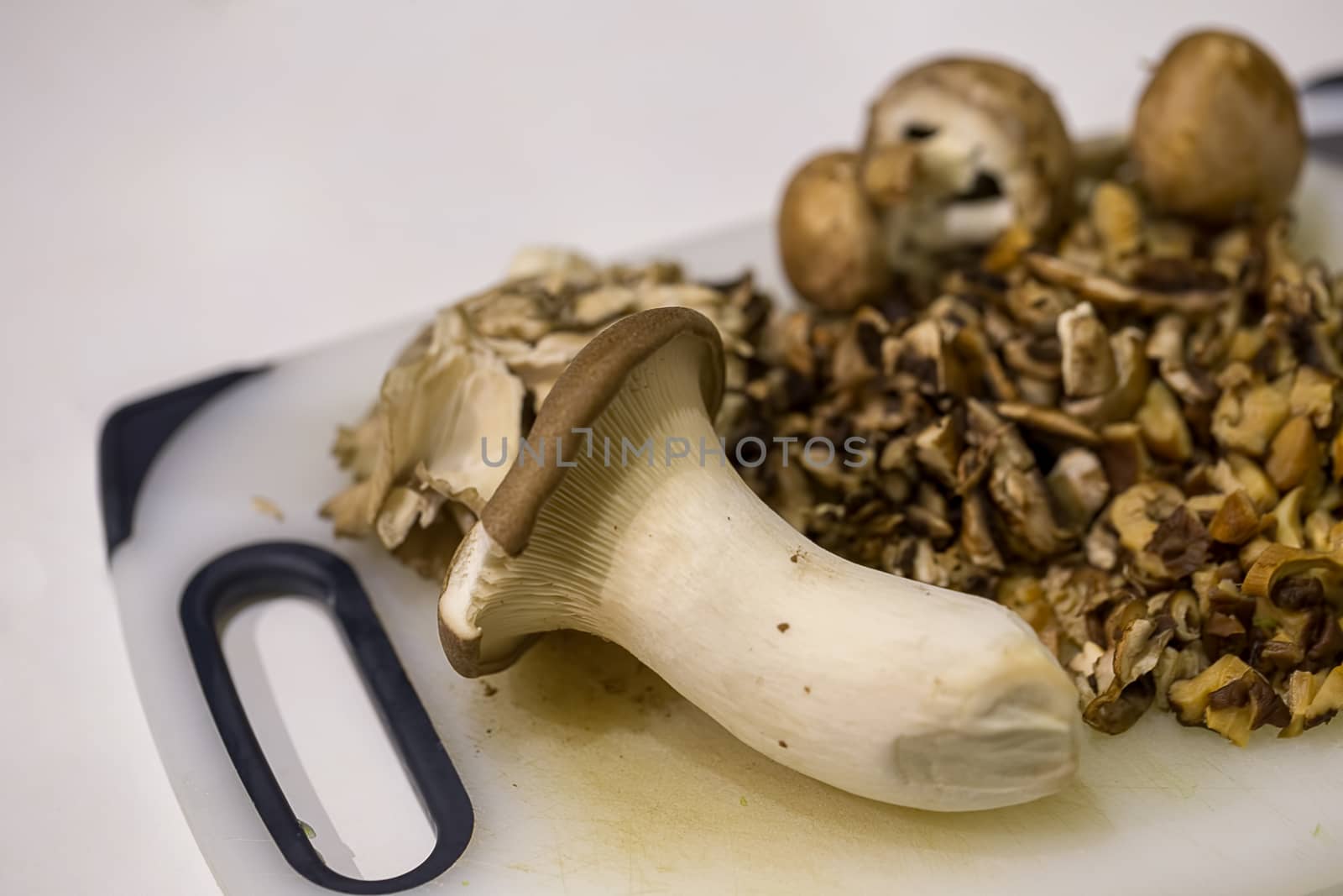 Oyster, shitake and brown mushoorms on a white chopping board