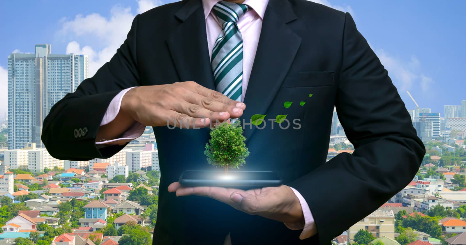 Ecology concept human hands holding big plant tree with on the smartphone in world environment day