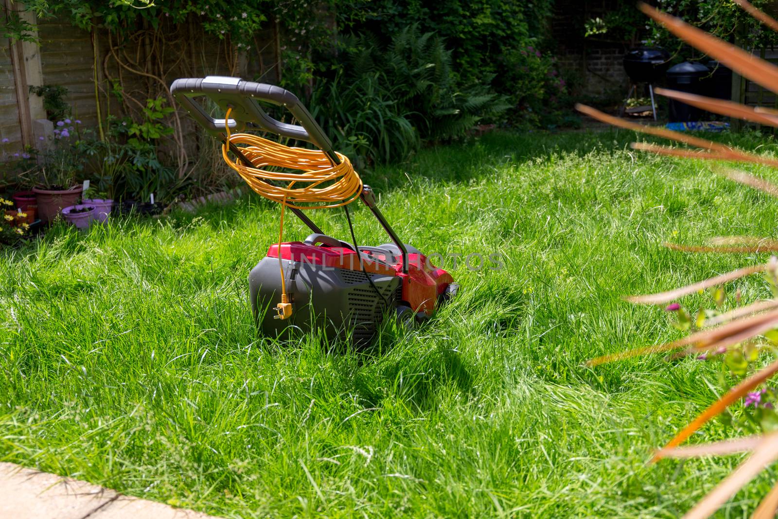 Lawnmower on a lawn of long grass by magicbones