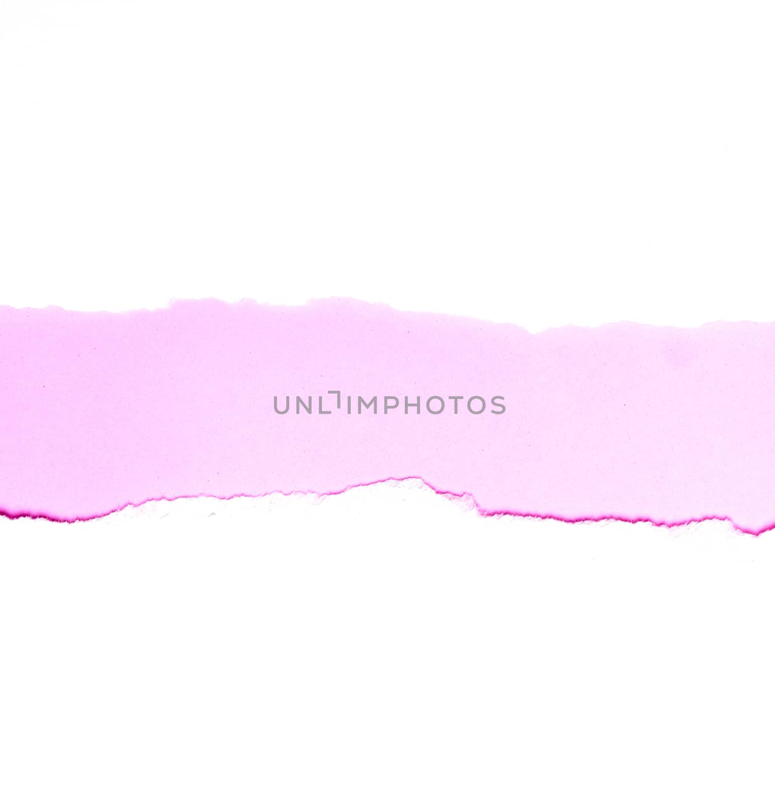 Abstract background Torn white paper On pink paper by sompongtom