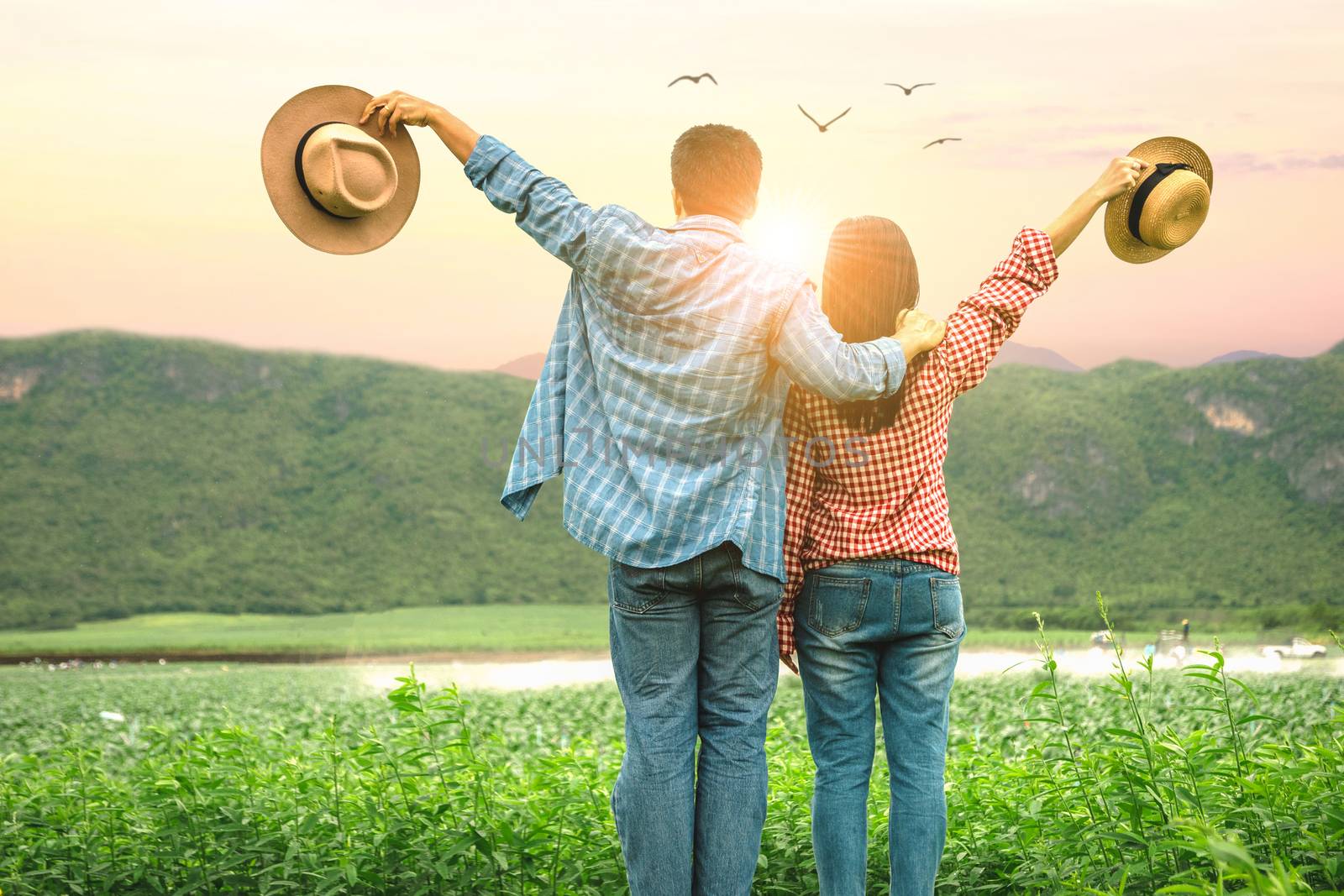 Male and female farmers the agricultural produce of vegetable farms