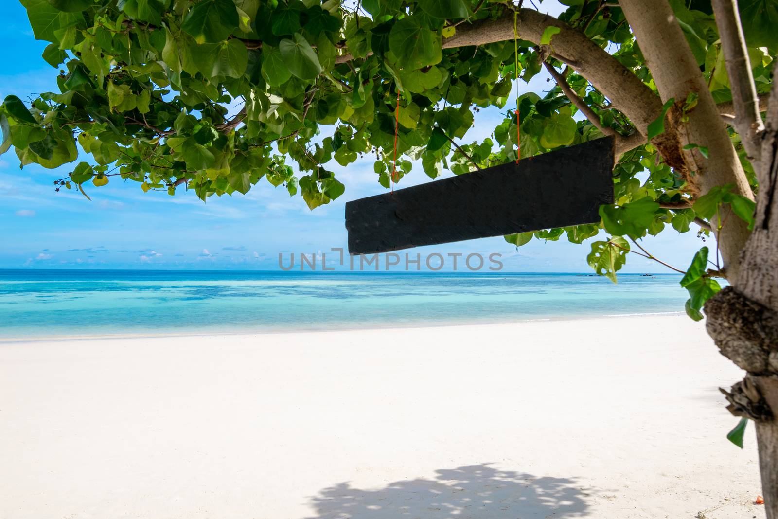 Sea and clear water beach have a holiday summer relaxing and travel bright sky koh lipe thailand by sompongtom