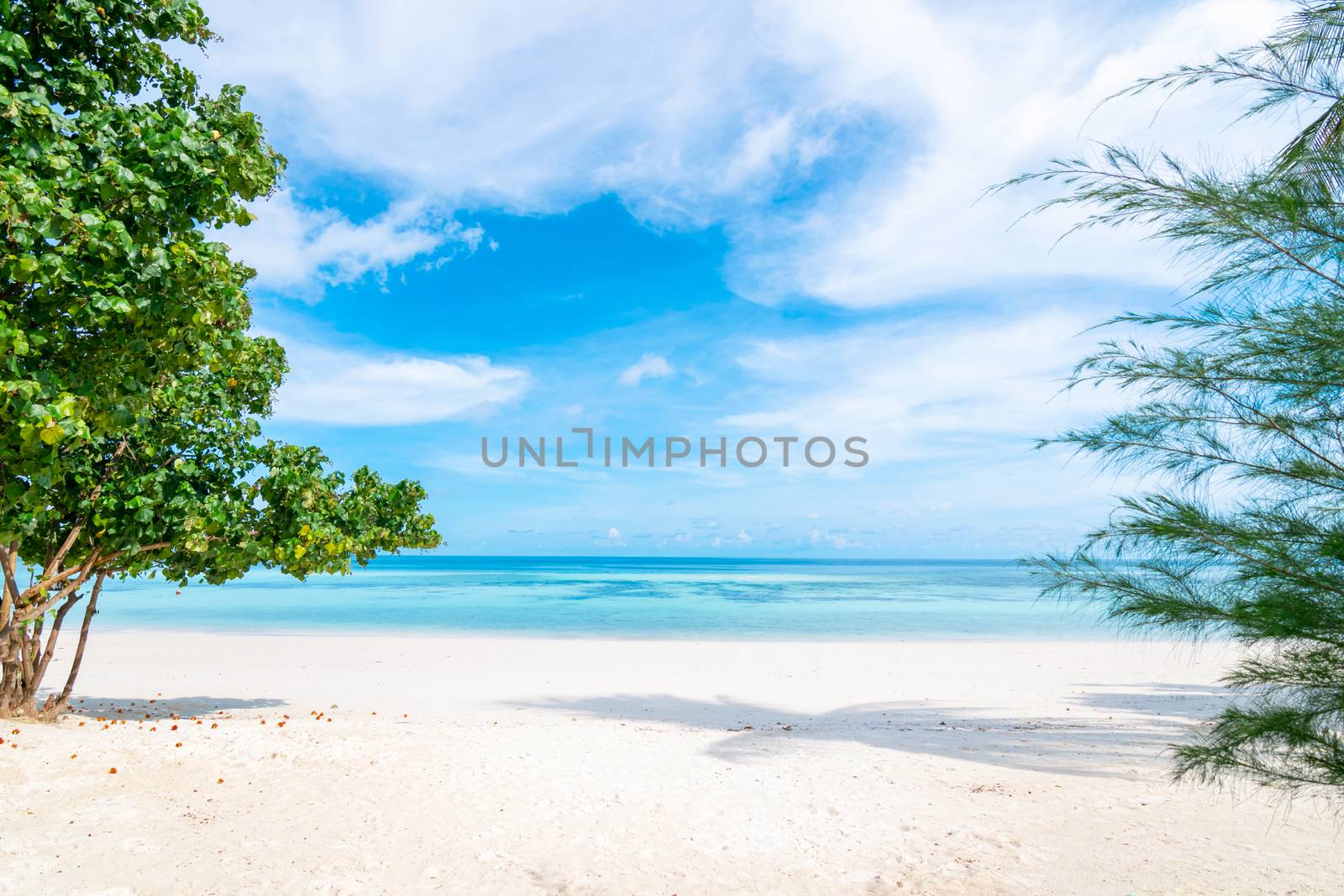 Sea and clear water beach have a holiday summer relaxing and travel bright sky koh lipe thailand by sompongtom