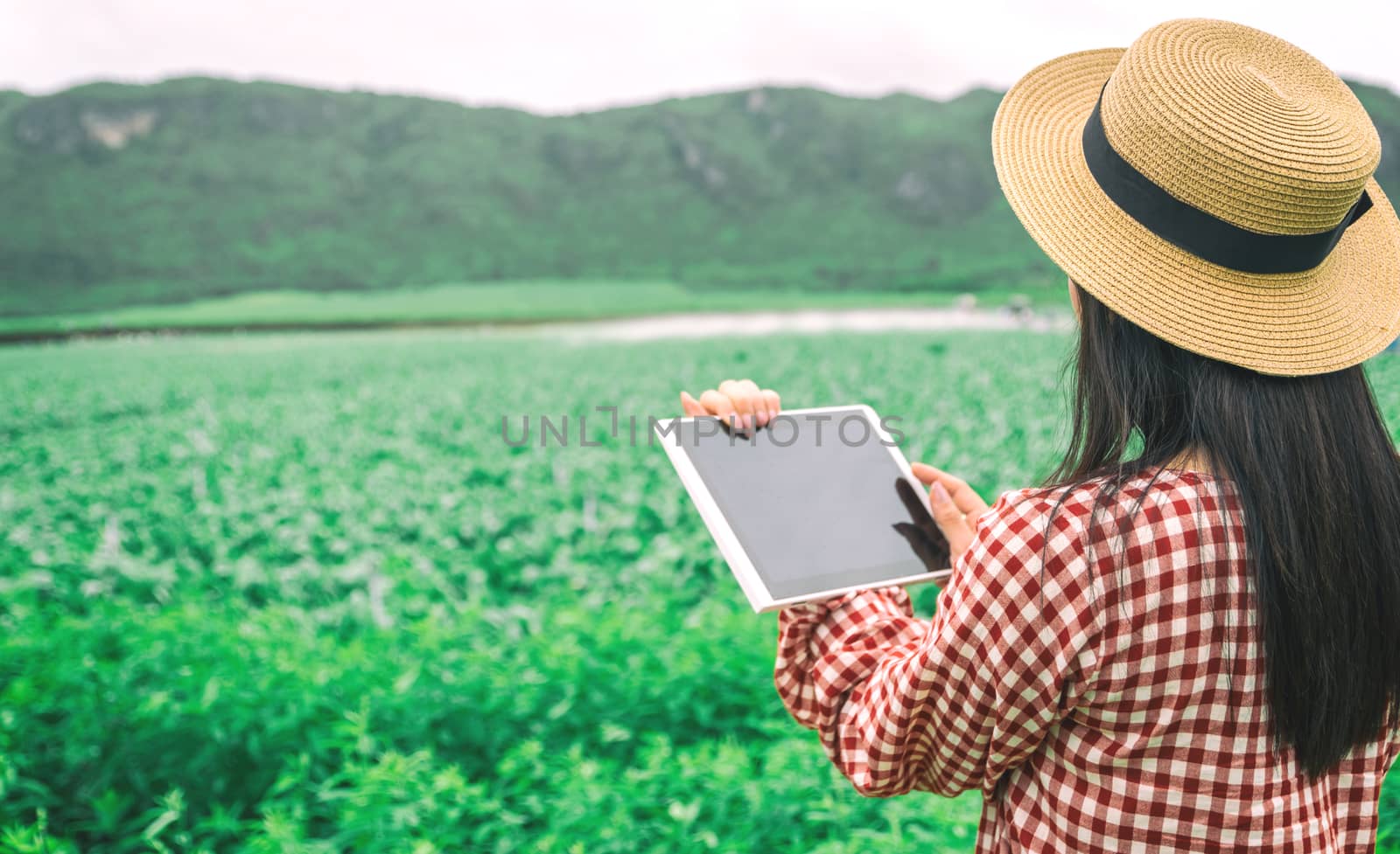 Tablet in the hands of farmers Vegetable farm with technology by sompongtom