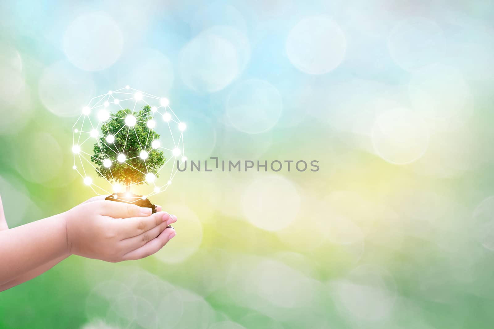 Ecology concept child human hands holding big plant tree with on blurred background world environment the concept of the world by sompongtom