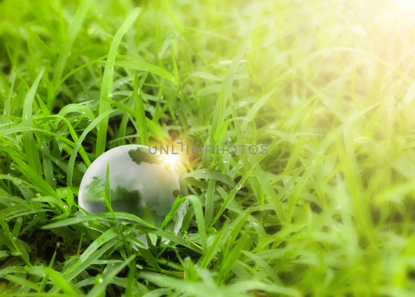Ecology concept crystal globe resting on the grass environment