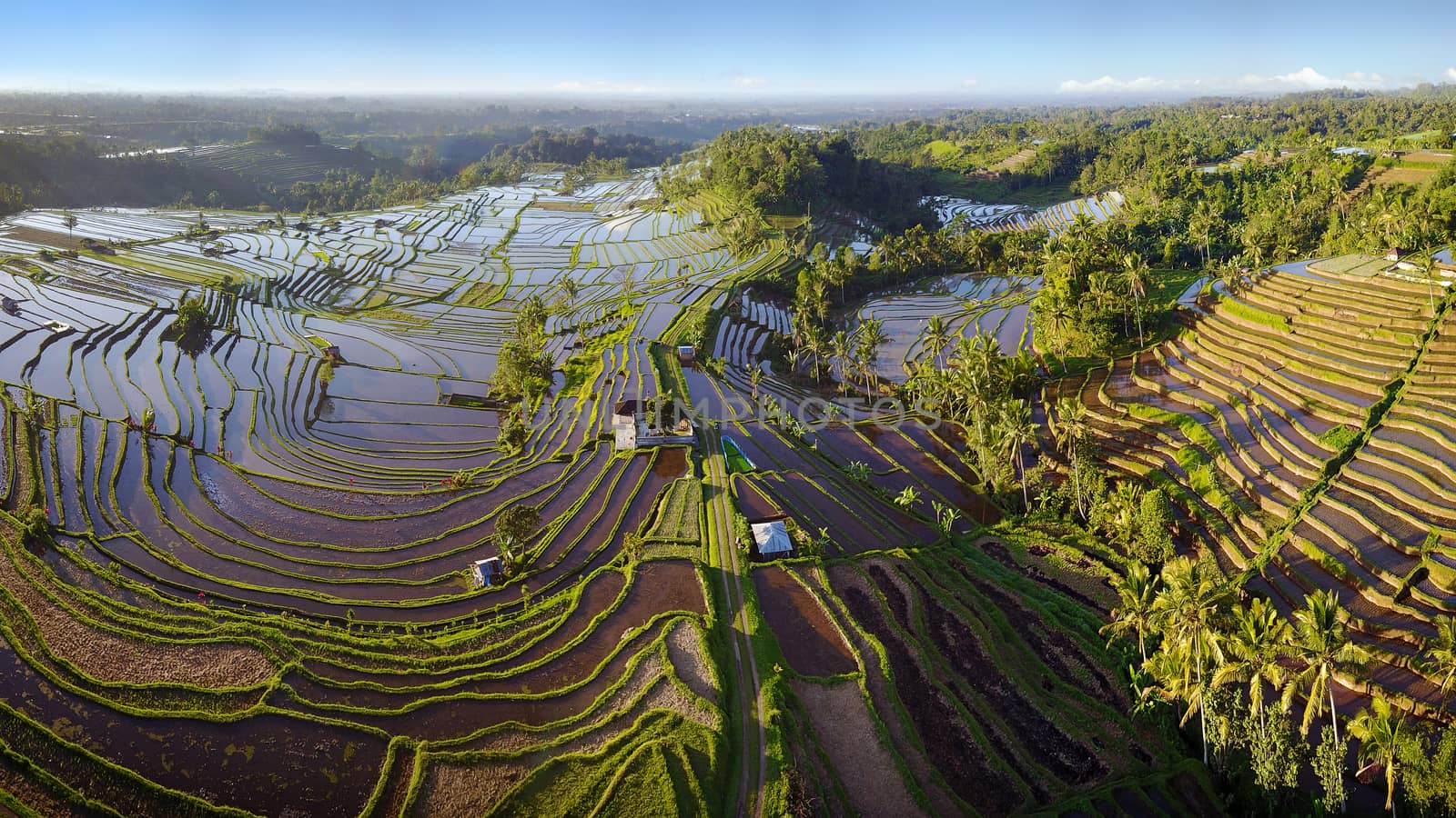 Aerial view of Bali Rice Terraces. The beautiful and dramatic rice fields of Jatiluwih in southeast Bali have been designated the prestigious UNESCO world heritage site.