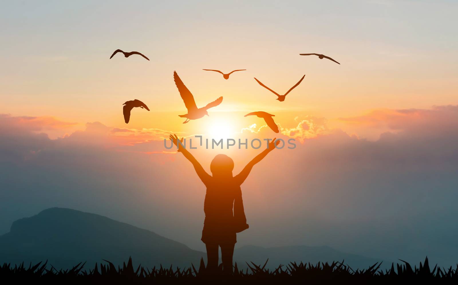 Women holding hands on the mountain evening sunshine show freedom and flying birds silhouette