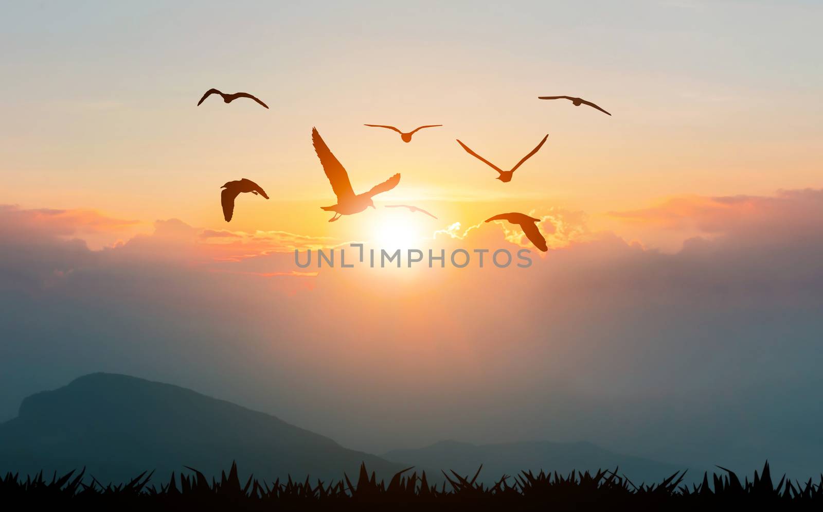 Birds flying freedom on the mountains and sunlight silhouette by sompongtom