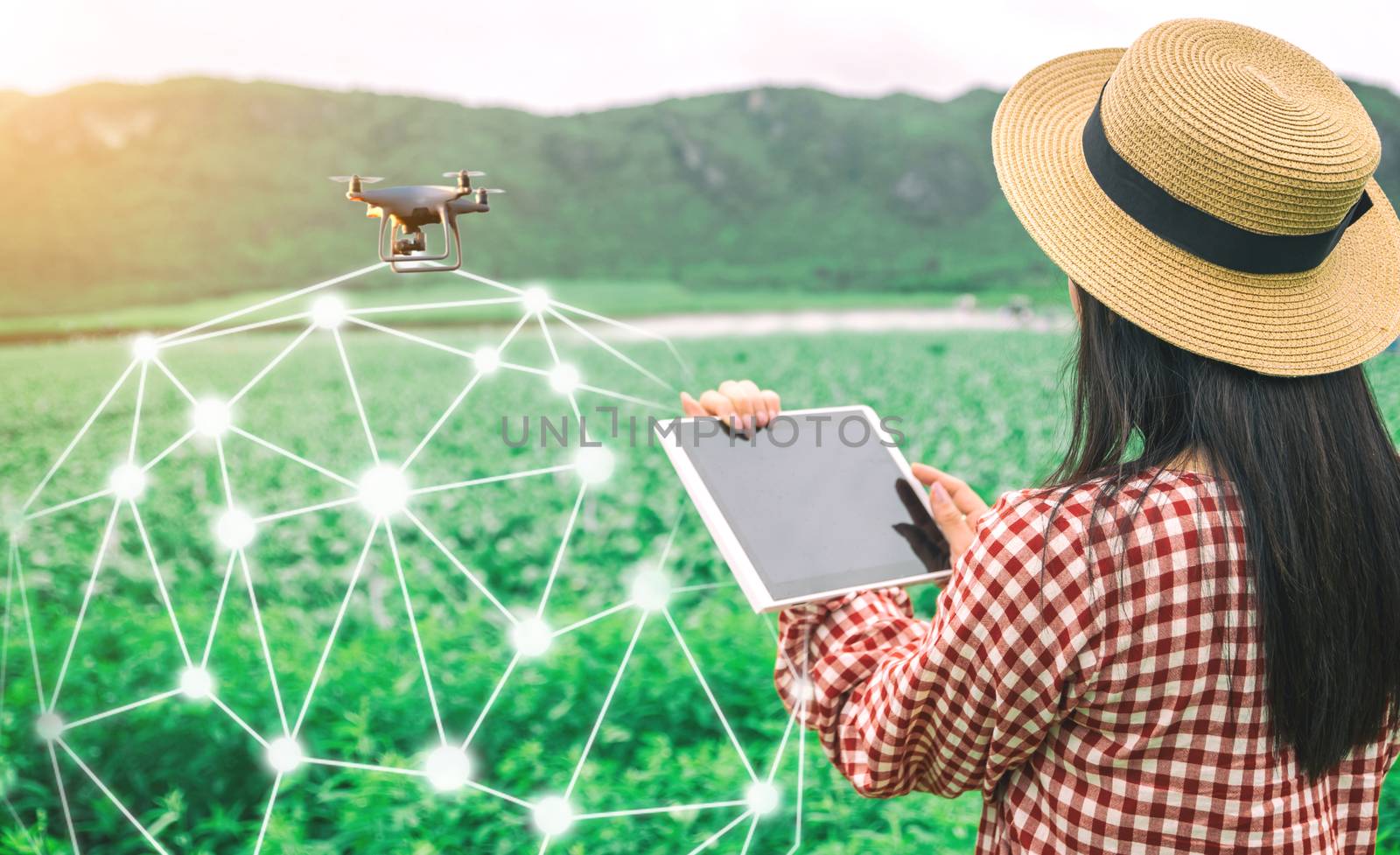 Tablet in the hands of farmers technology drones to control agricultural products by sompongtom