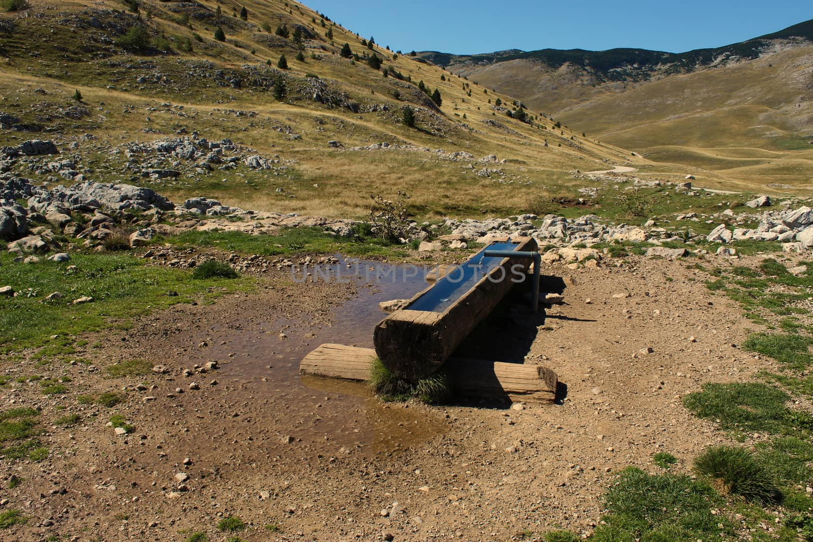 A log dug for water, water for domestic cattle to be able to survive on the mountain. Bjelasnica Mountain, Bosnia and Herzegovina.