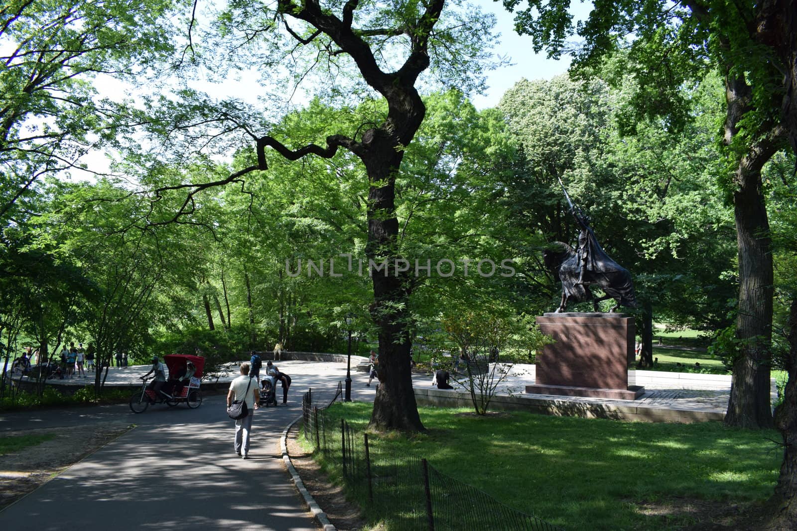 New York, United States of America - June 17, 2020: The beautiful central park in New York in a sunny summer day by matteobartolini