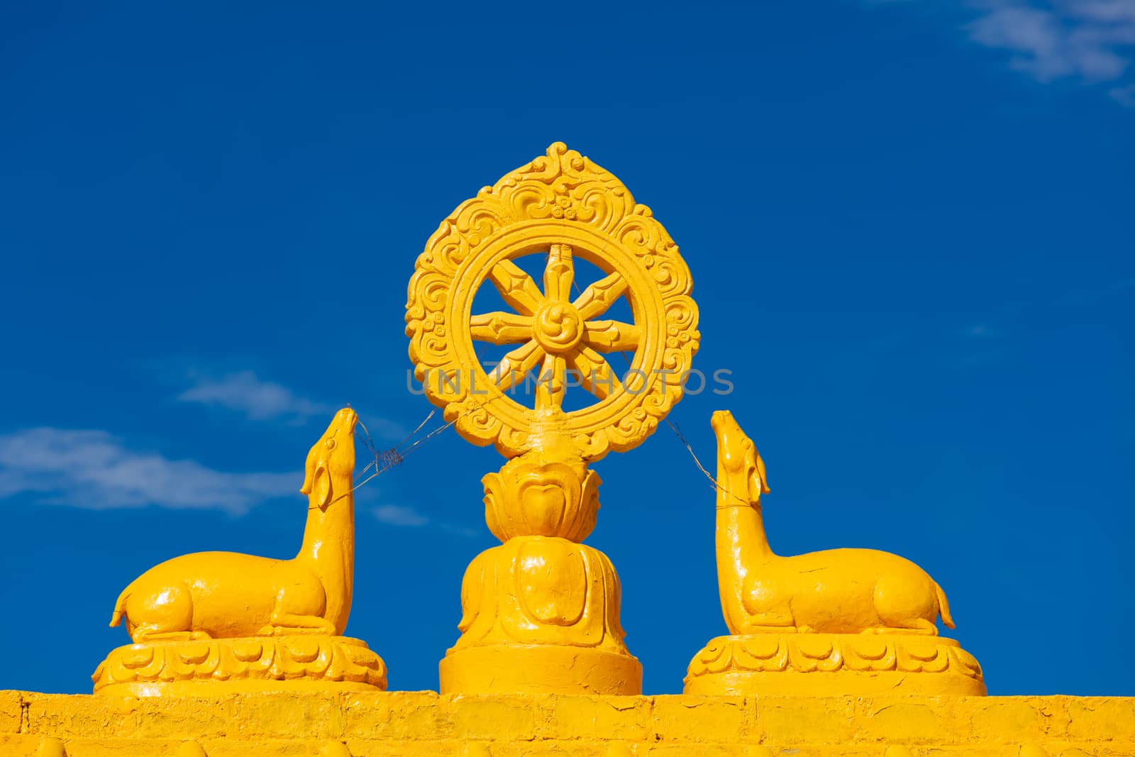 Buddhist Wheel of the Law. Kungri Monastery, Pin Valley, Himachal Pradesh, India
