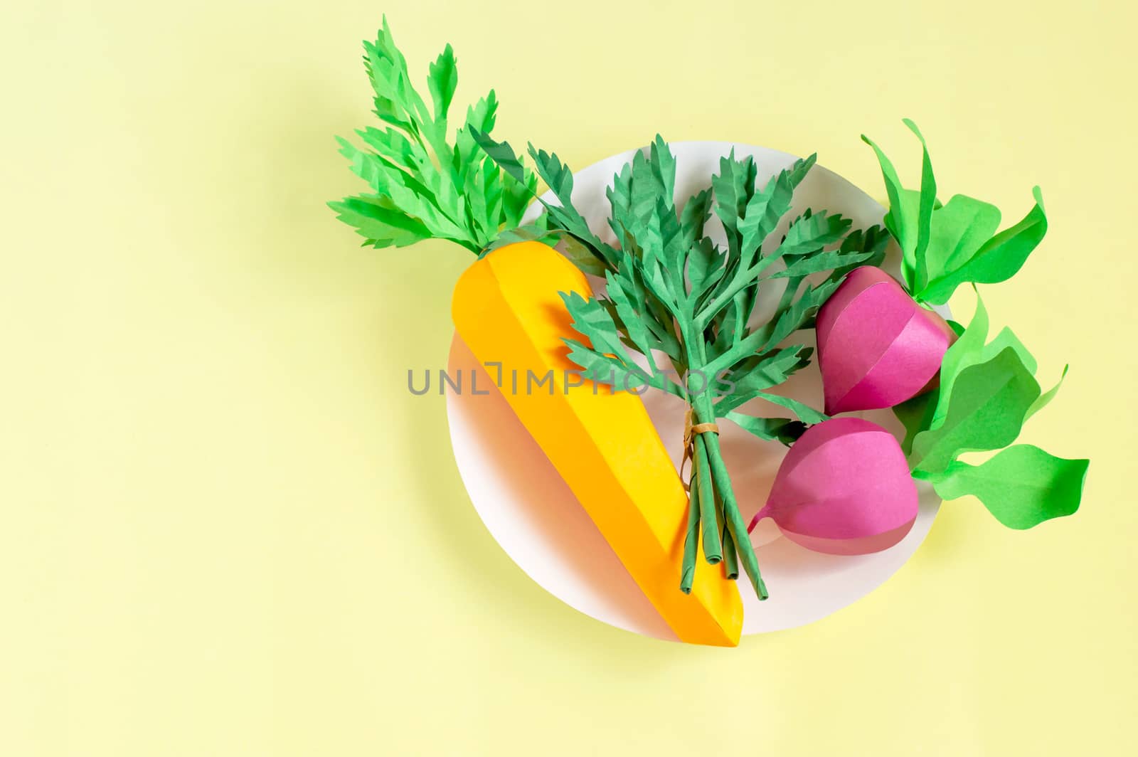 Colorful paper carrot, radish and parsley on paper plate. Real volumetric handmade paper objects. Paper art and craft