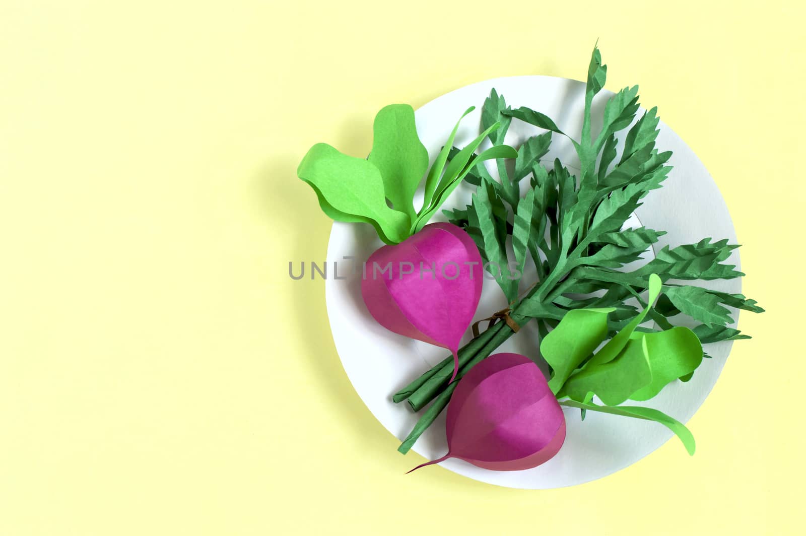 Colorful paper radish and parsley on paper plate. Real volumetric handmade paper objects. Paper art and craft