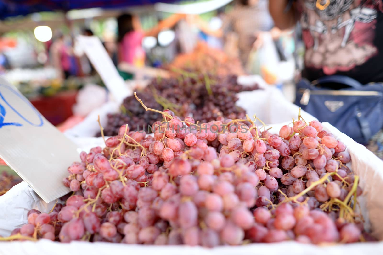 Many fresh Champagne Grapes, Thai tropical fruits that nutrition for sell in the market.