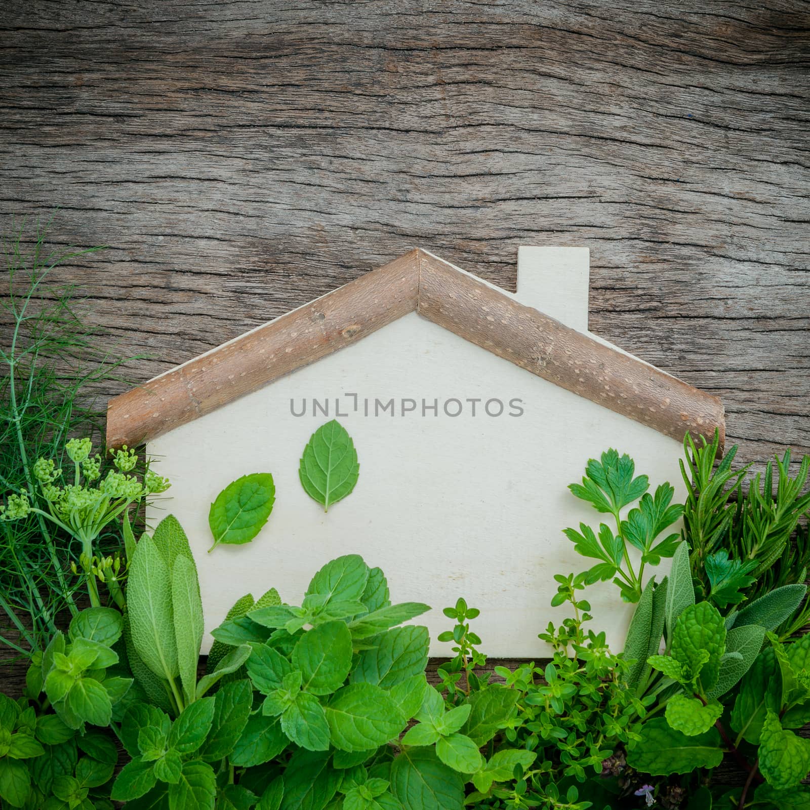 Aromatic herbs and spices  green mint ,fennel ,oregano, sage,lemon thyme and peppermint with fork and spoon on  rustic wooden background . Healthy food concept herbs with wooden panel for copy space.