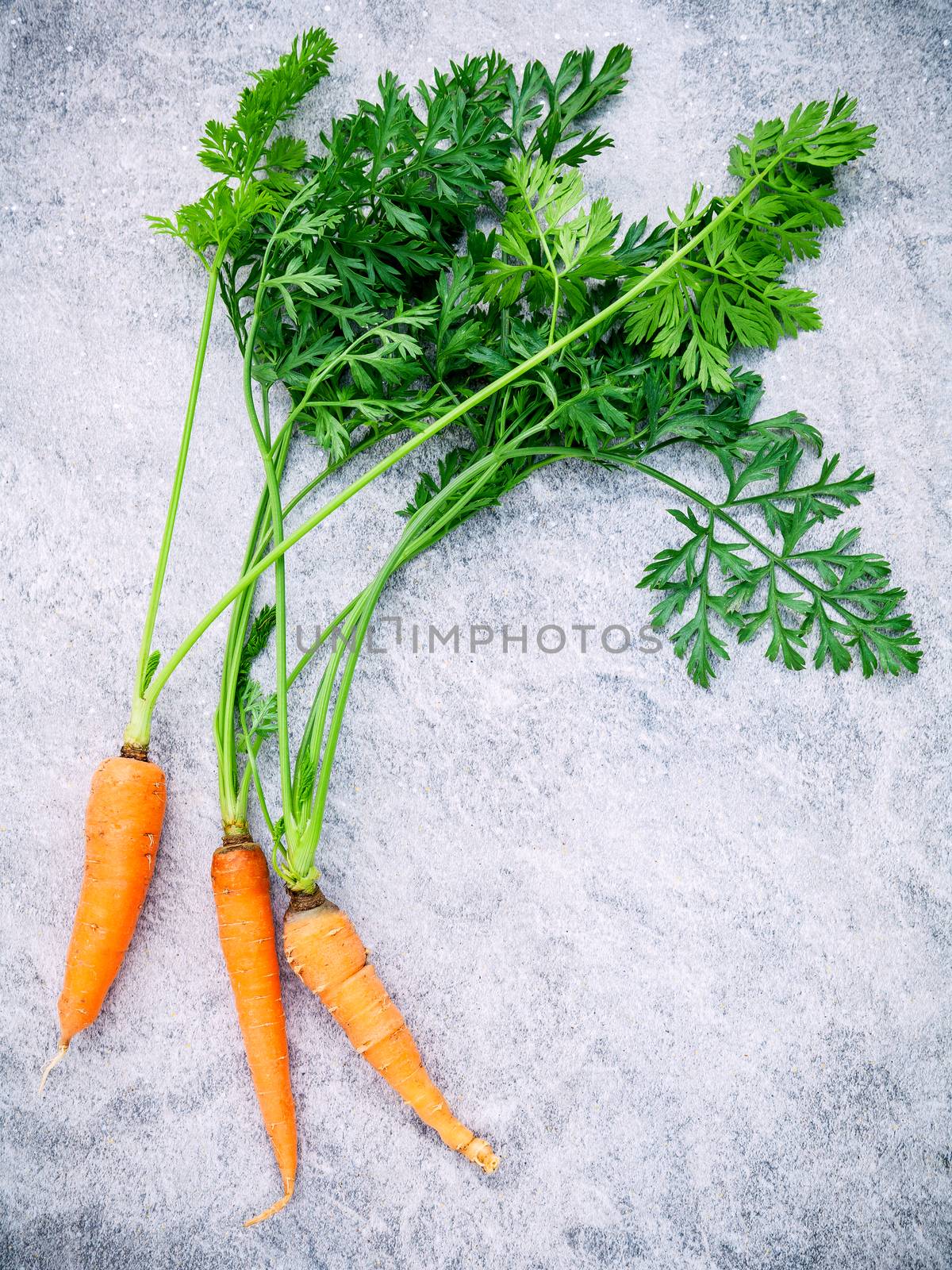 Fresh carrots bunch on wooden table. Raw fresh carrots with tail by kerdkanno