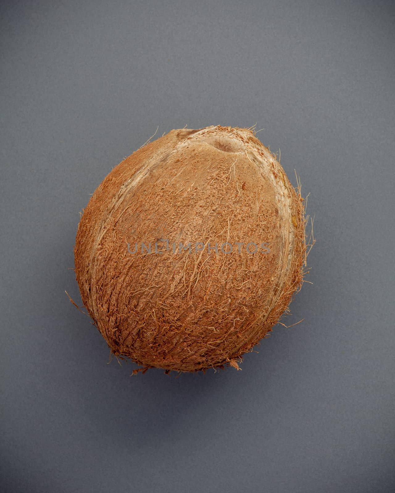 Whole of coconut shell on gray background flat lay and copy spac by kerdkanno