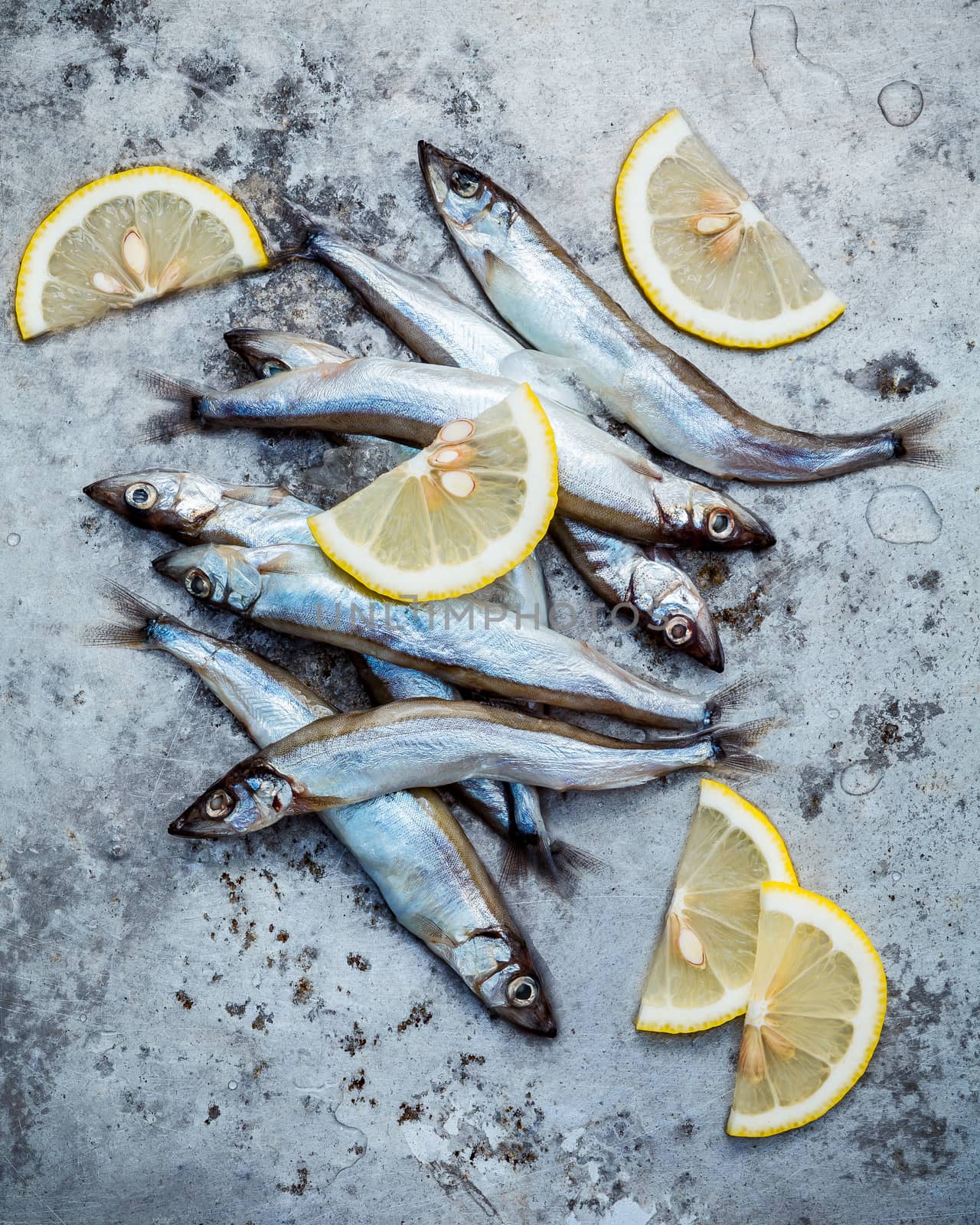 Fresh catch Shishamo fish fully eggs . Shishamo fish is popular fish for Japanese cuisine cooking Tempura. Fresh Shishamo fish tempts buyers at fresh seafoods stall.