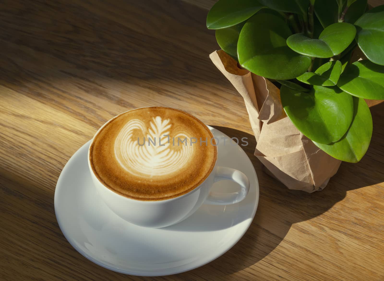 latte or Cappuccino art coffee cup top view on wood table with sunlight in cafe.