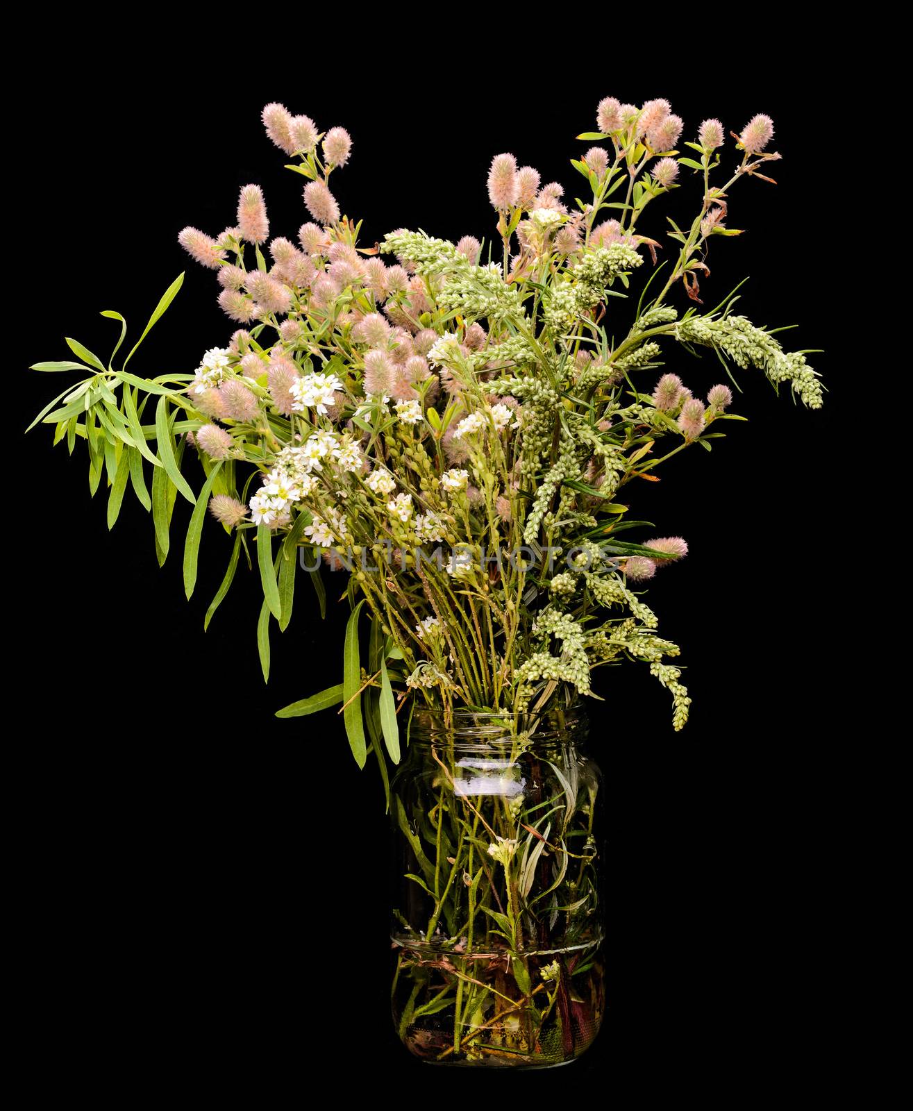 A bunch of wild plants and flowers from the meadow, in a glass jar, isolated on black background