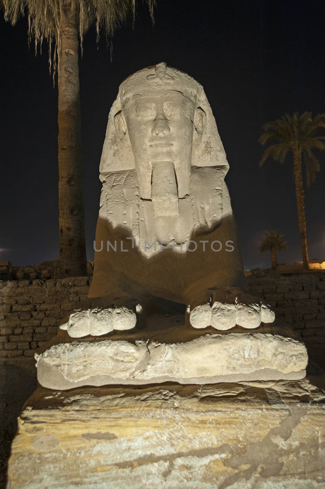 Statue at avenue of sphinxes in ancient egyptian Luxor Temple lit up during night