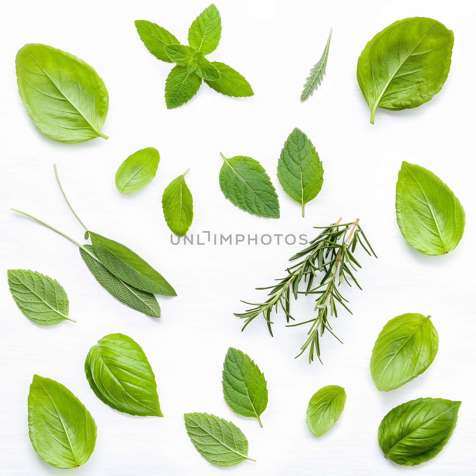 Various fresh herbs for cooking ingredients peppermint , sweet b by kerdkanno
