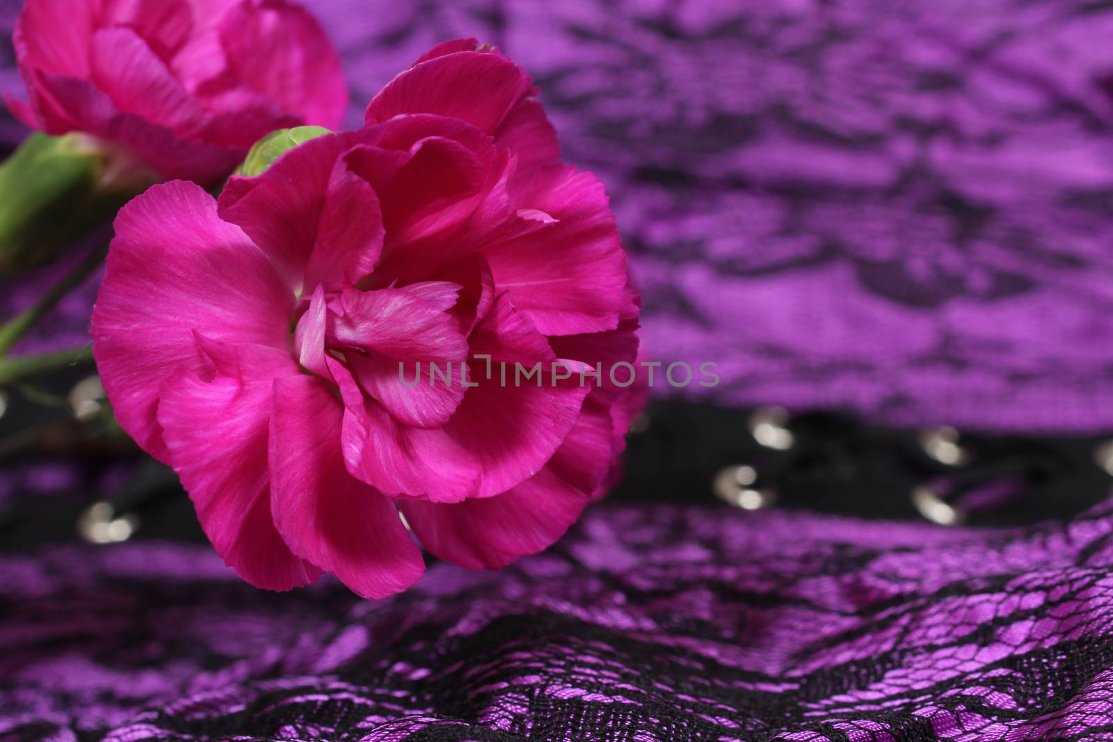 Pink Flowers on Purple and Black Fabric Corset