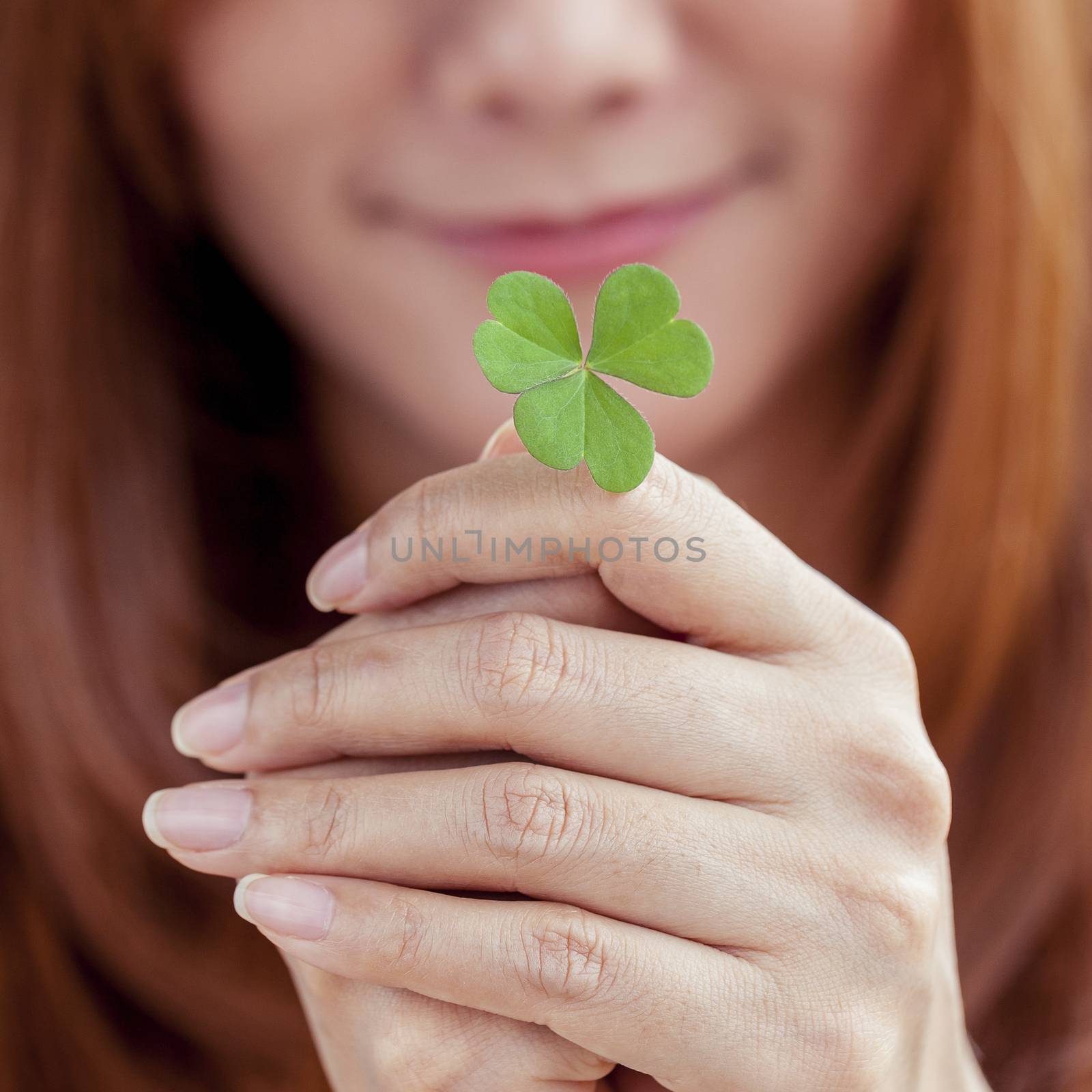 The girl hold  Clover leaf . Concept for love , hope and goodness.