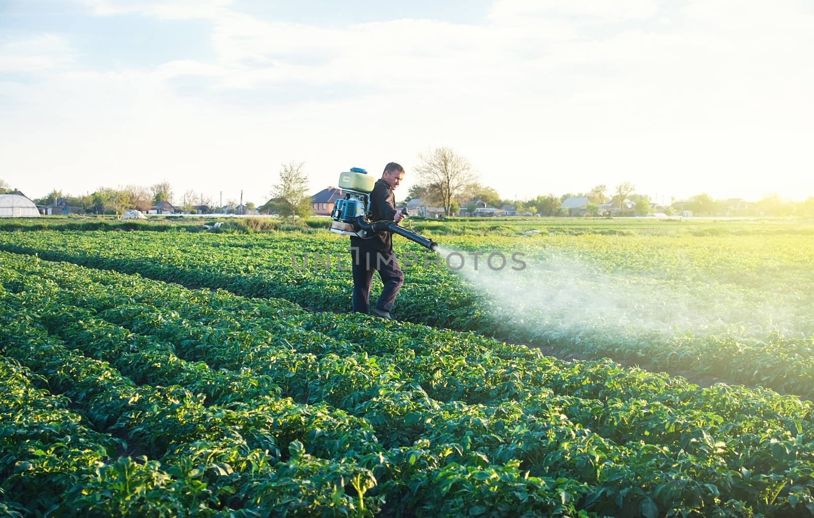 A farmer sprays a solution of copper sulfate on plants of potato bushes. Use chemicals in agriculture. Fight against fungal infections and insects. Agriculture and agribusiness, agricultural industry. by iLixe48