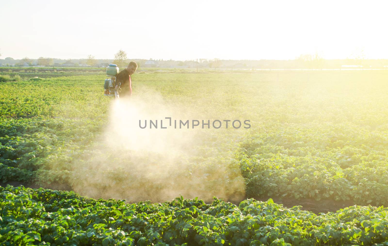 A farmer sprays a potato plantation with pesticides. Protecting against insect plants and fungal infections. Agriculture and agribusiness, agricultural industry. The use of chemicals in agriculture. by iLixe48